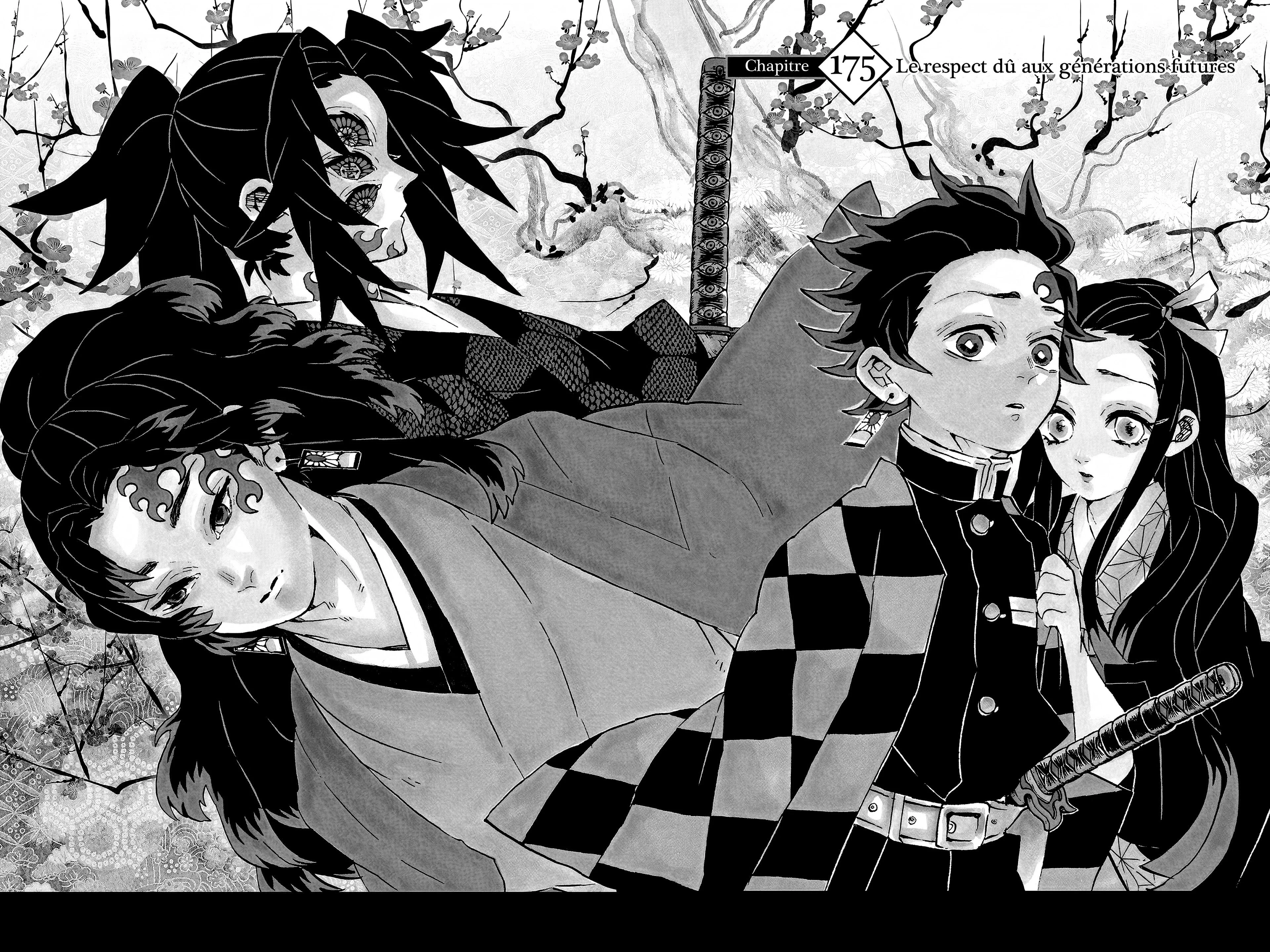 Read Demon Slayer FR Manga Online