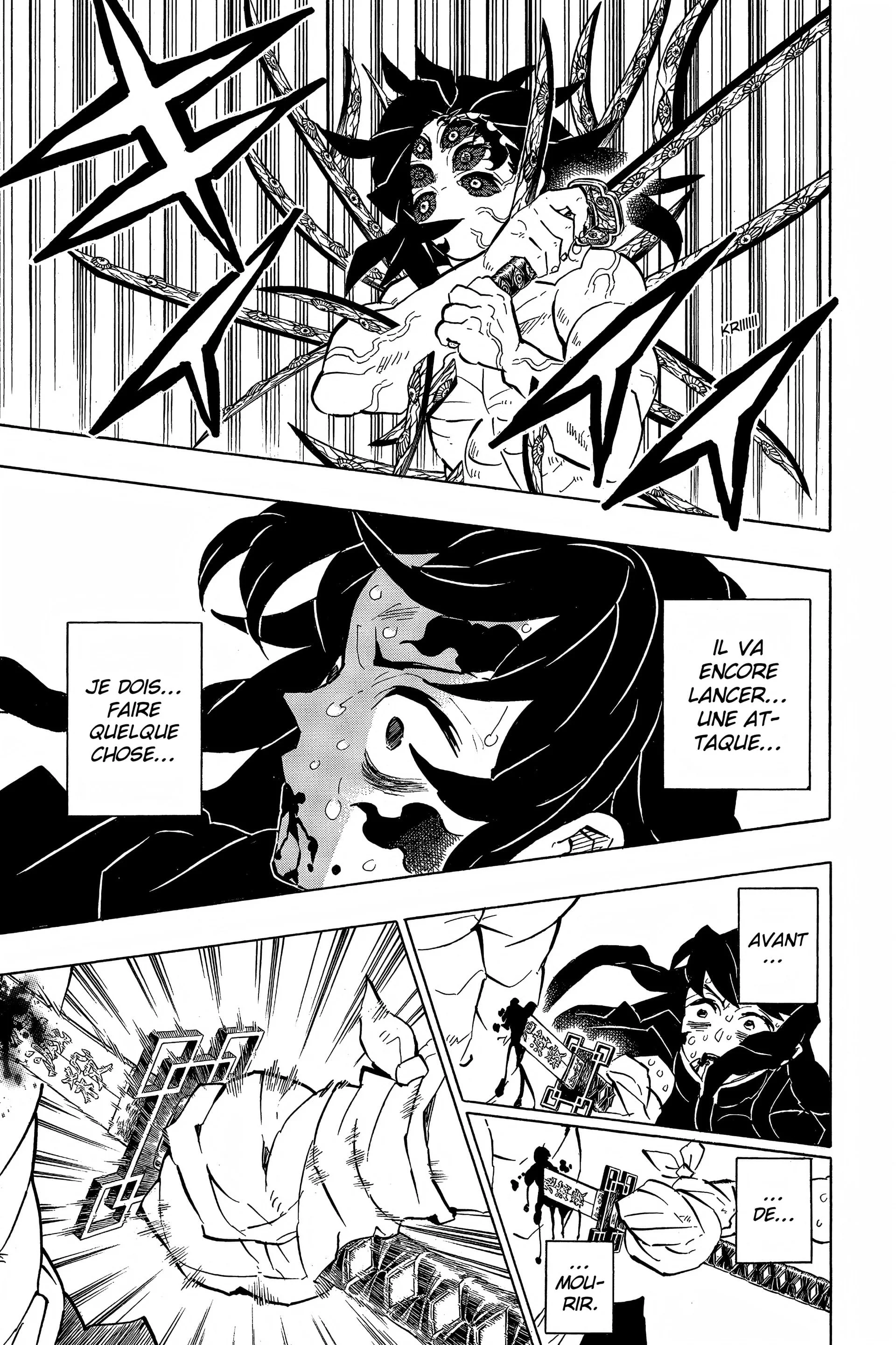 Read Demon Slayer FR Manga Online