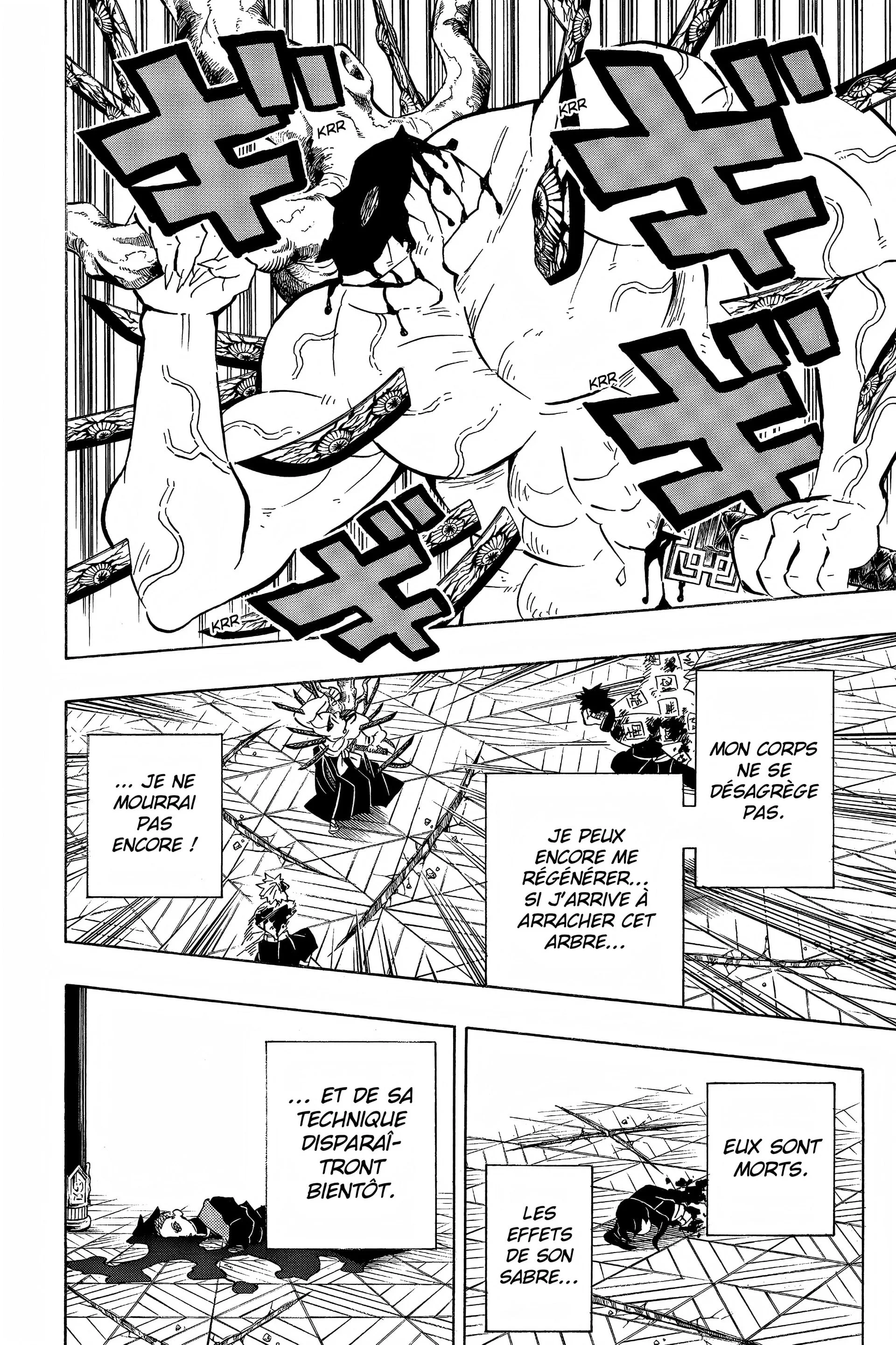 Read Demon Slayer FR Manga Online