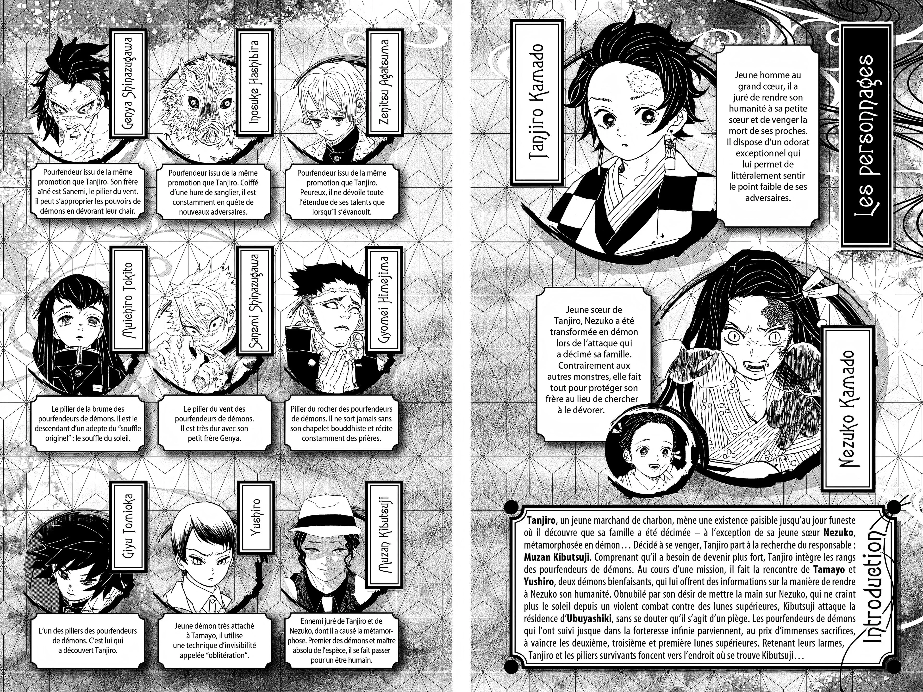 Read Demon Slayer FR Manga Online