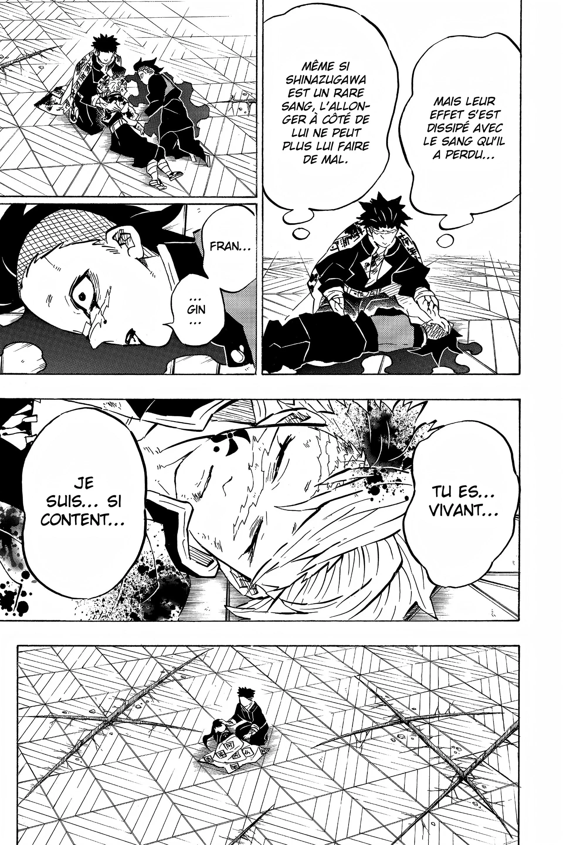 Read Demon Slayer FR Manga Online