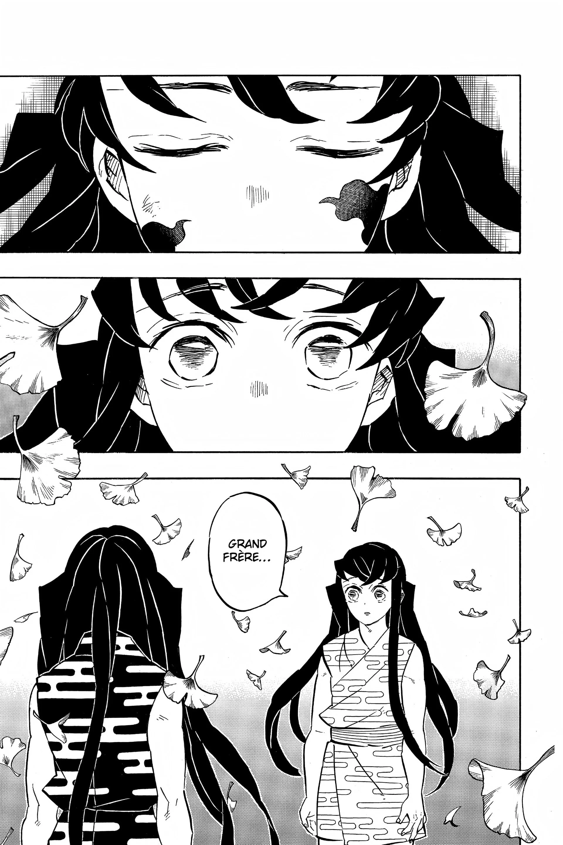 Read Demon Slayer FR Manga Online