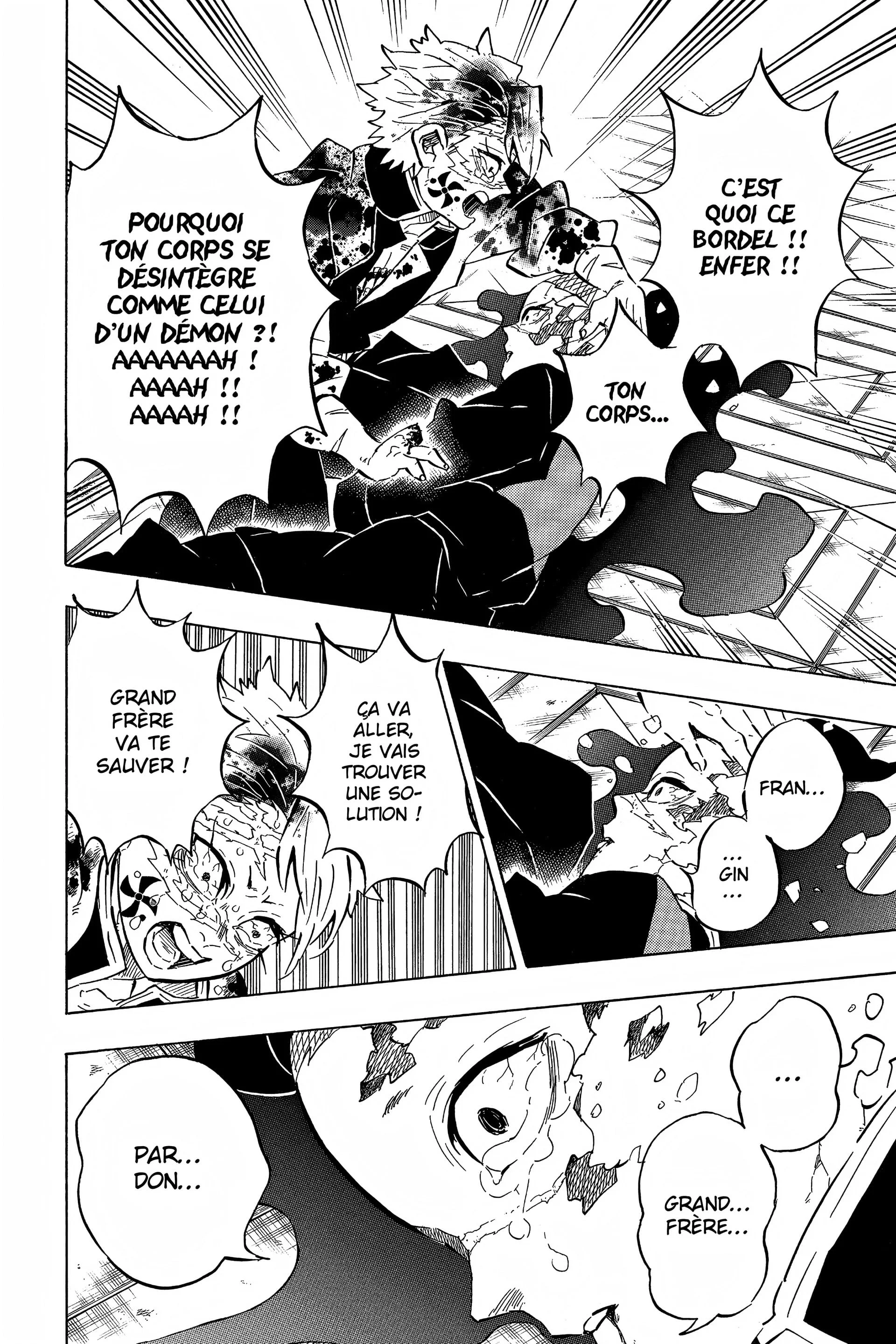 Read Demon Slayer FR Manga Online