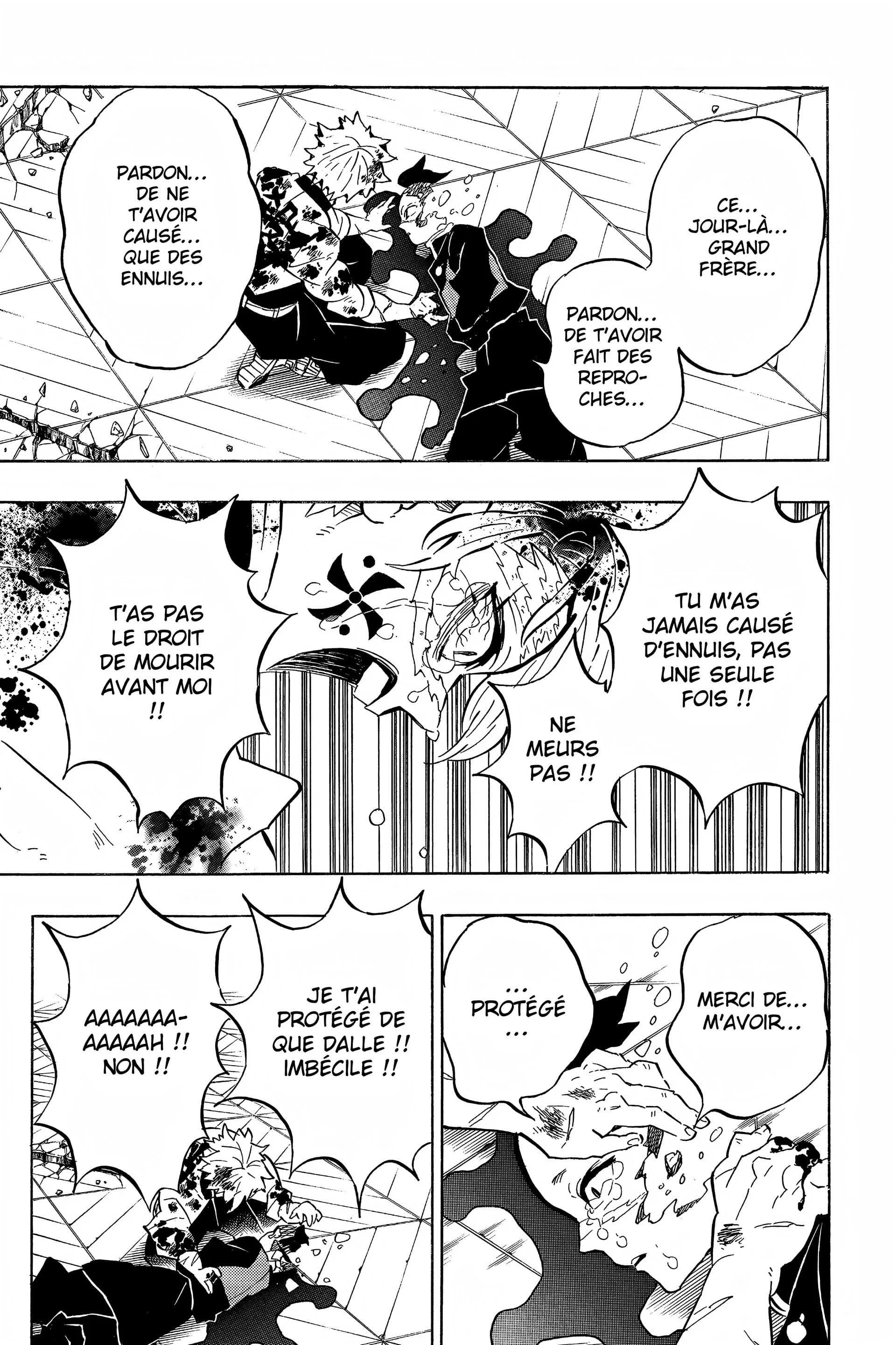 Read Demon Slayer FR Manga Online