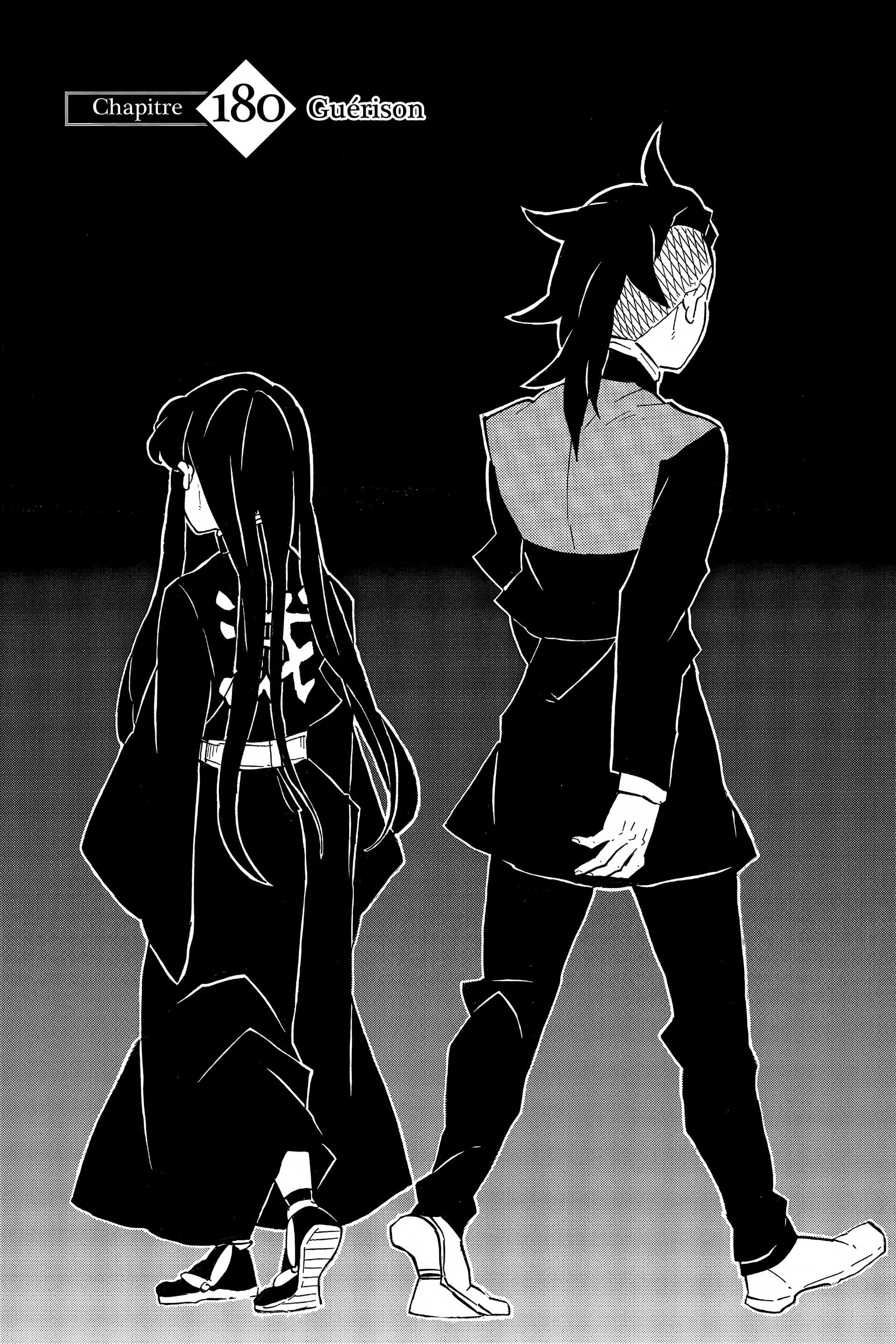 Read Demon Slayer FR Manga Online