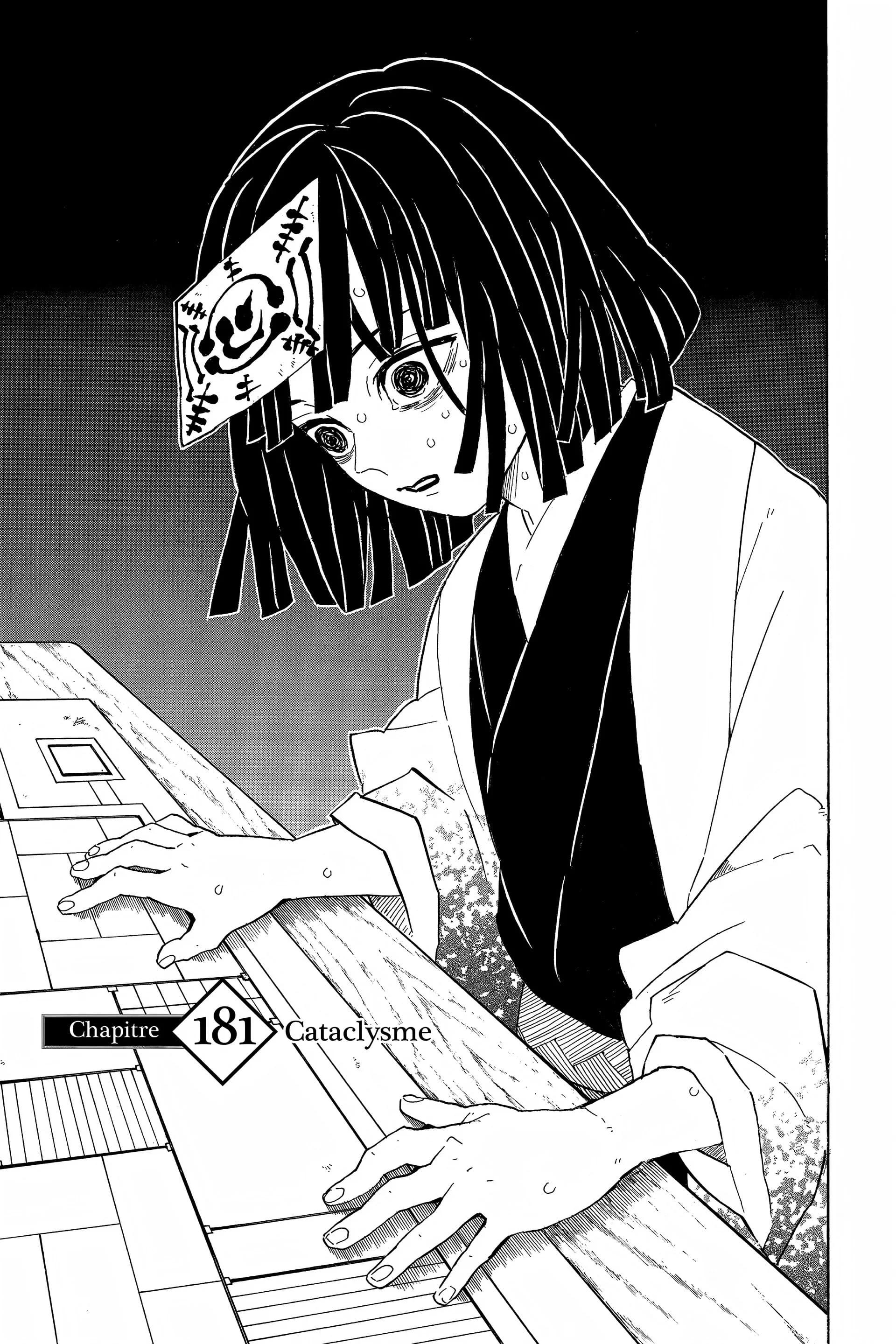 Read Demon Slayer FR Manga Online