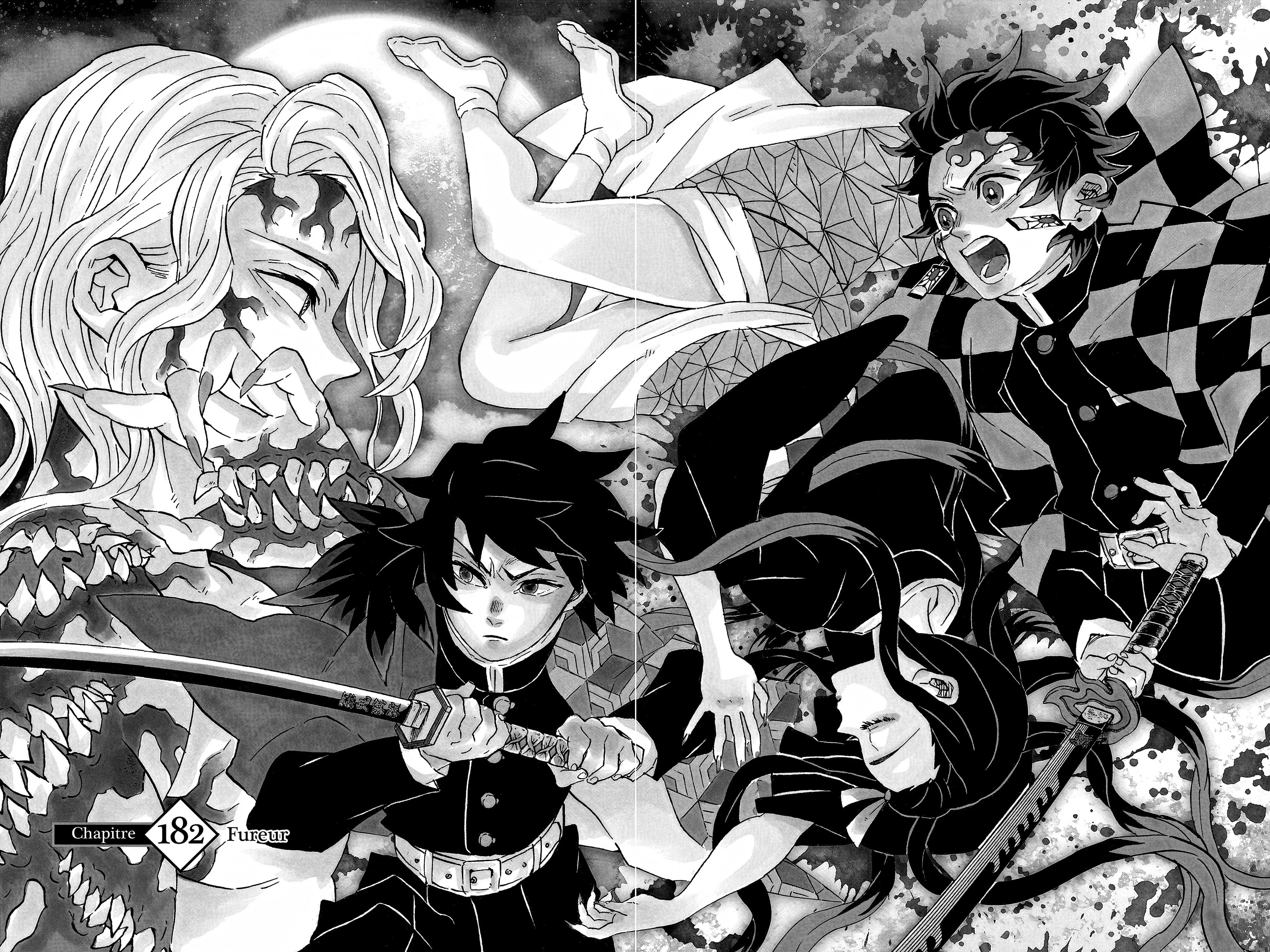 Read Demon Slayer FR Manga Online