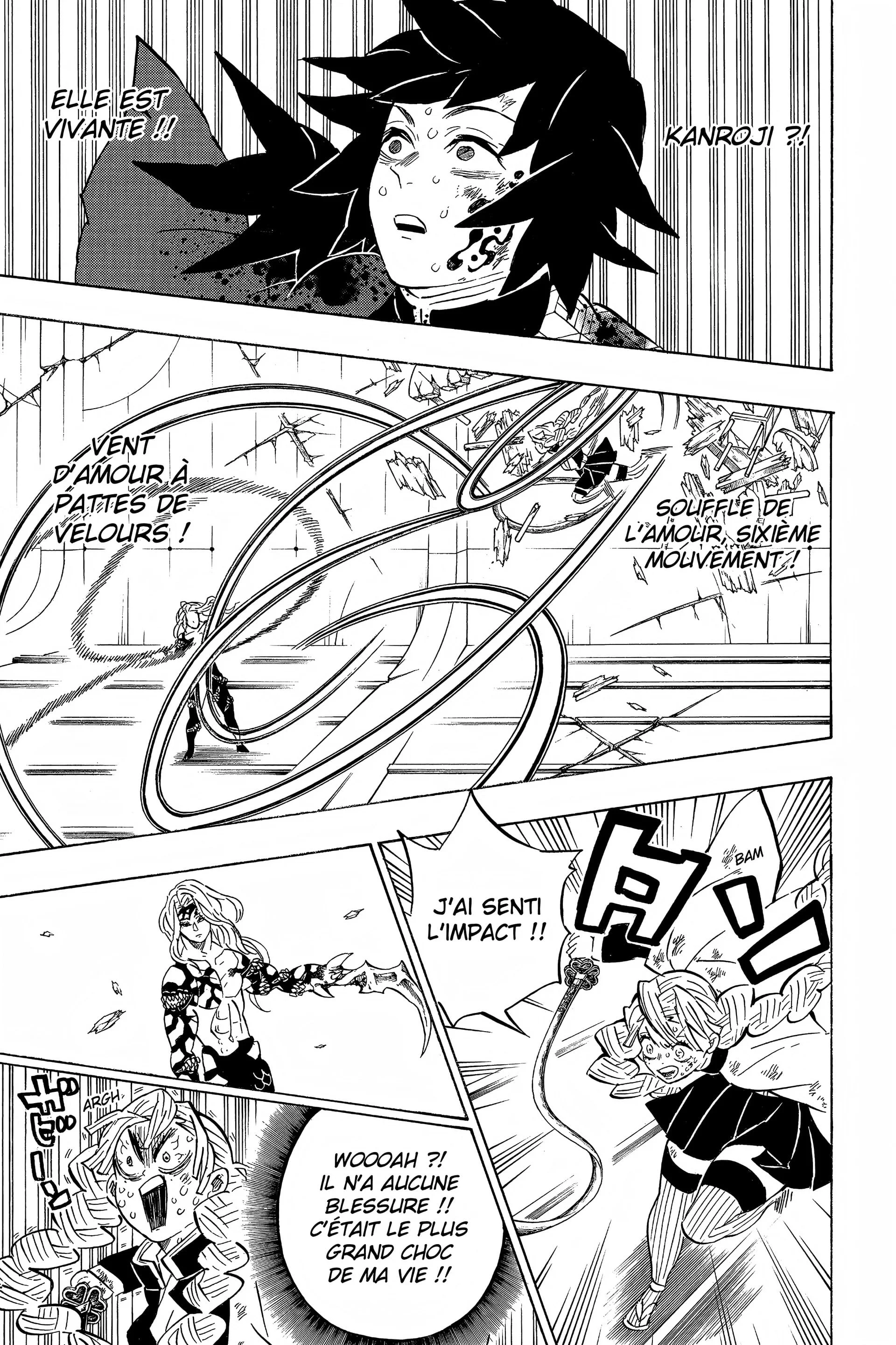 Read Demon Slayer FR Manga Online