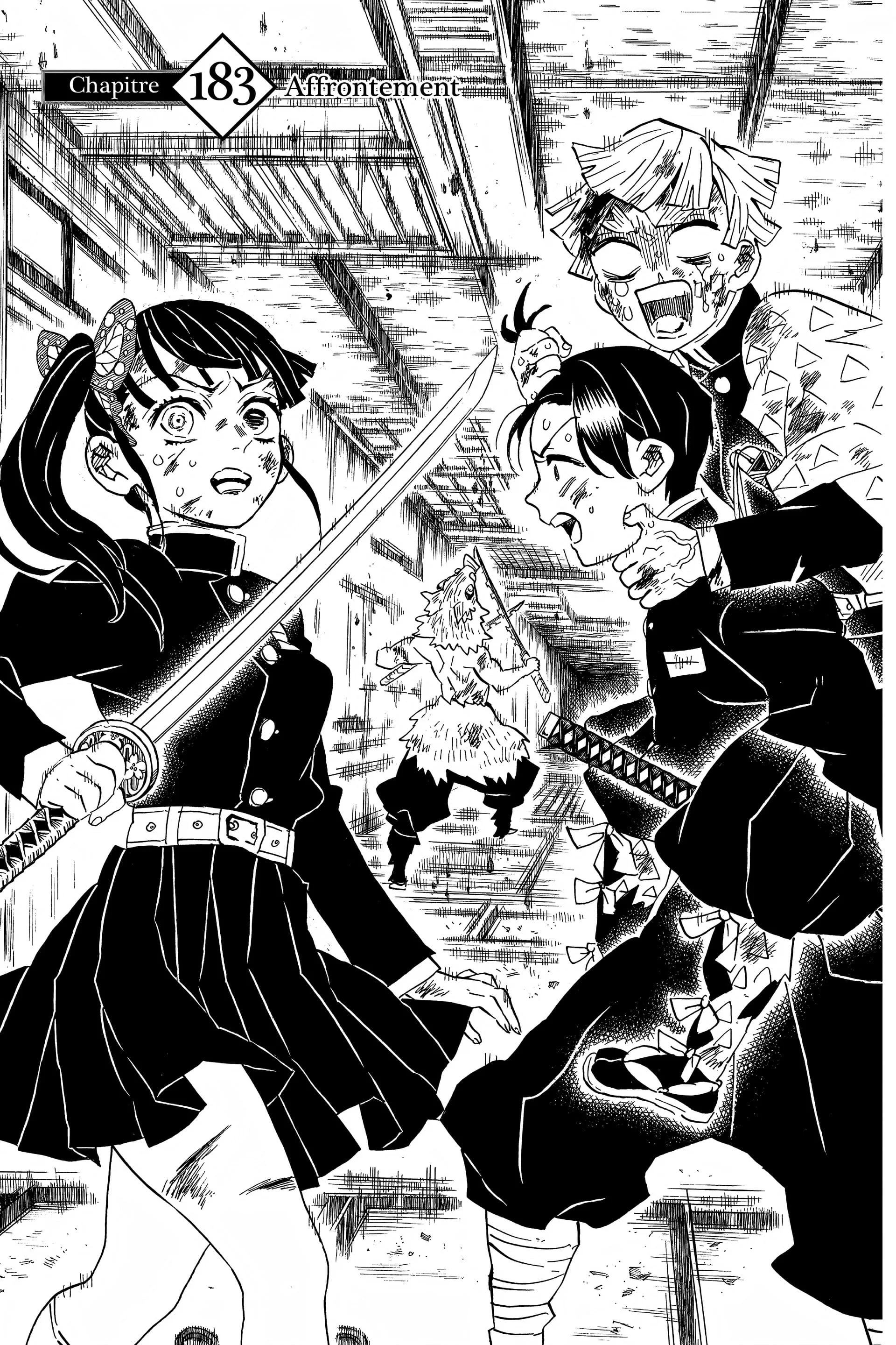 Read Demon Slayer FR Manga Online