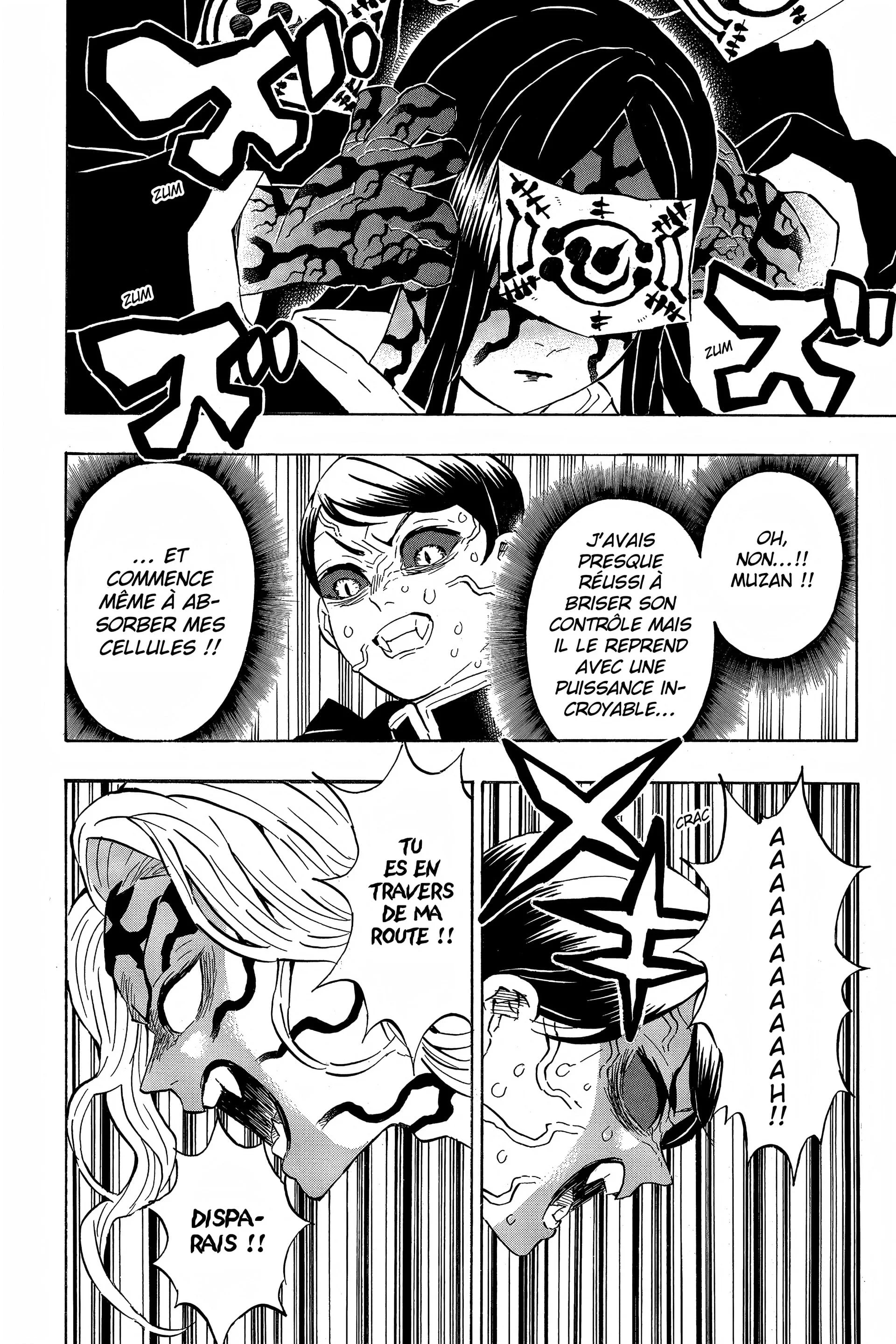 Read Demon Slayer FR Manga Online