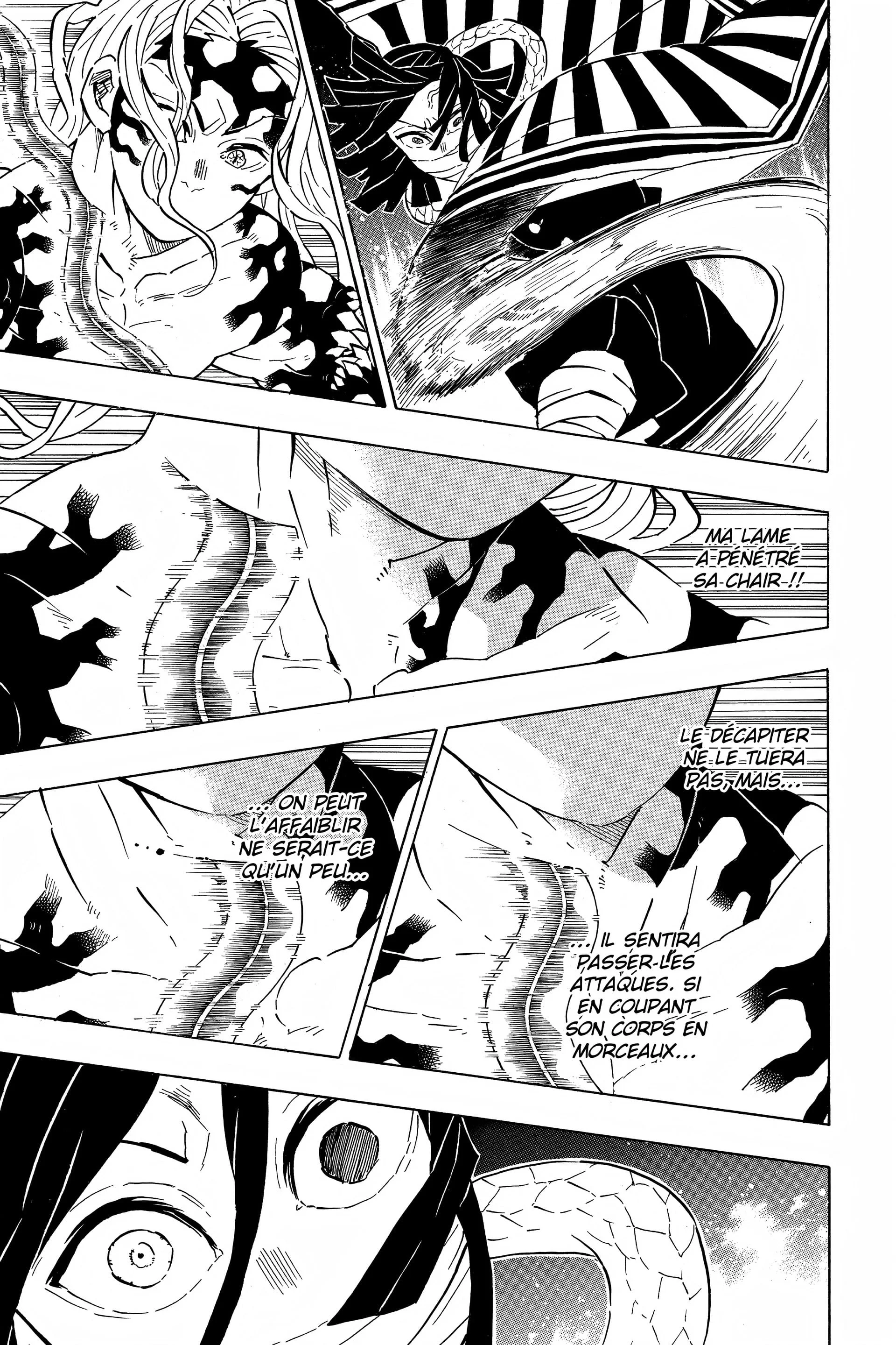 Read Demon Slayer FR Manga Online