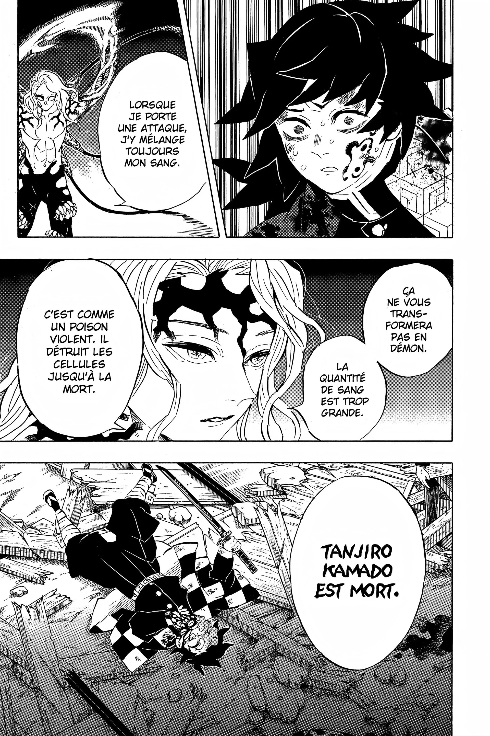 Read Demon Slayer FR Manga Online