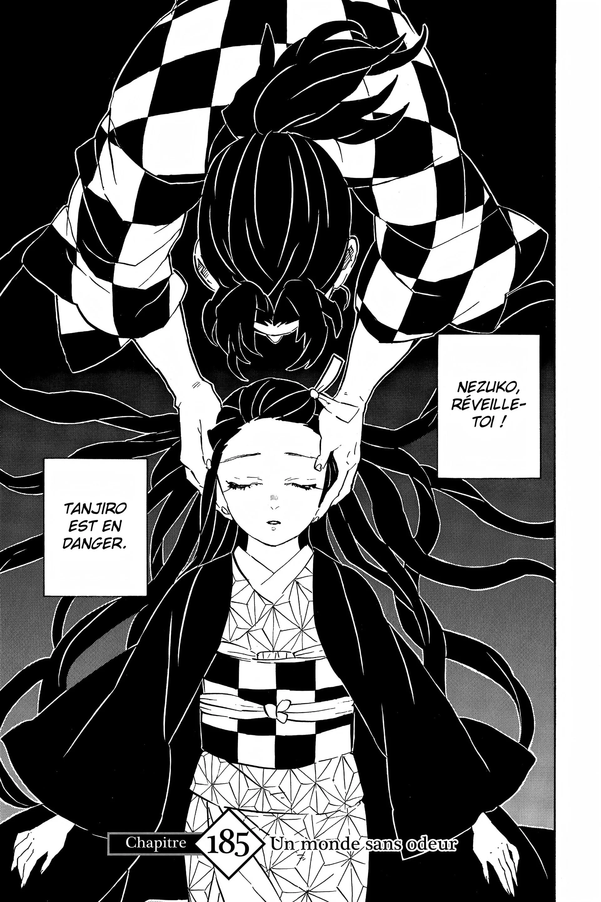 Read Demon Slayer FR Manga Online