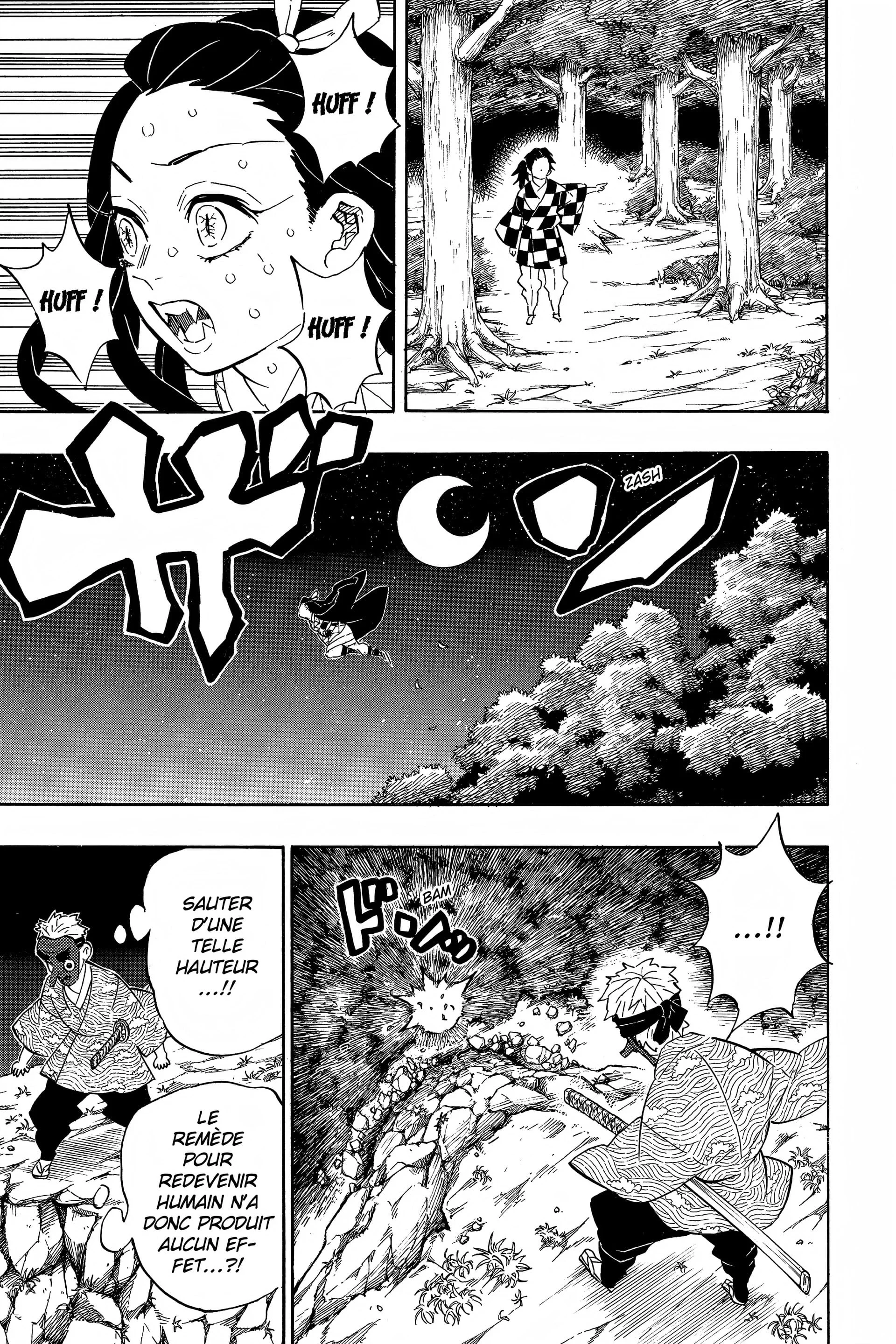 Read Demon Slayer FR Manga Online