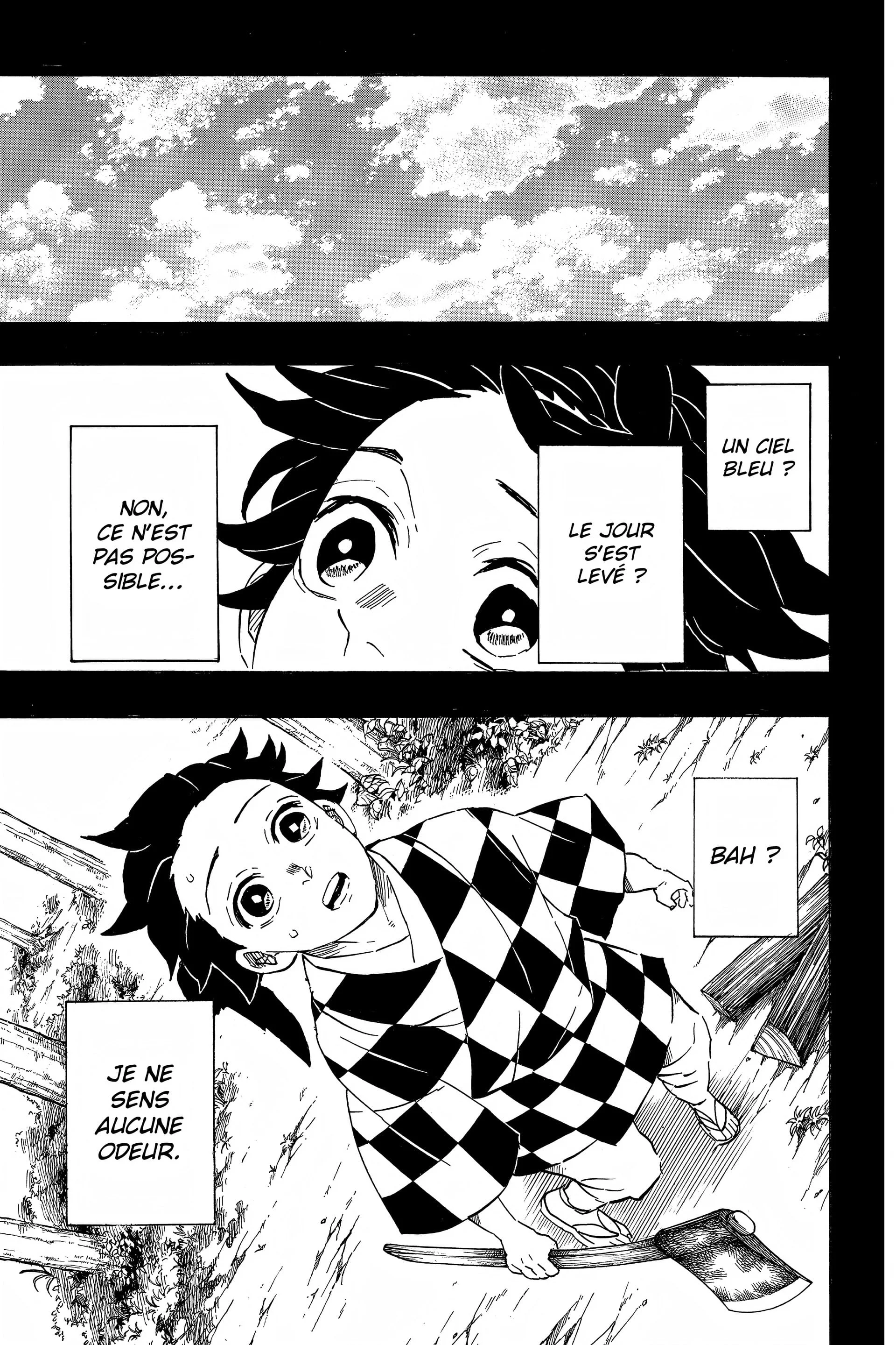 Read Demon Slayer FR Manga Online