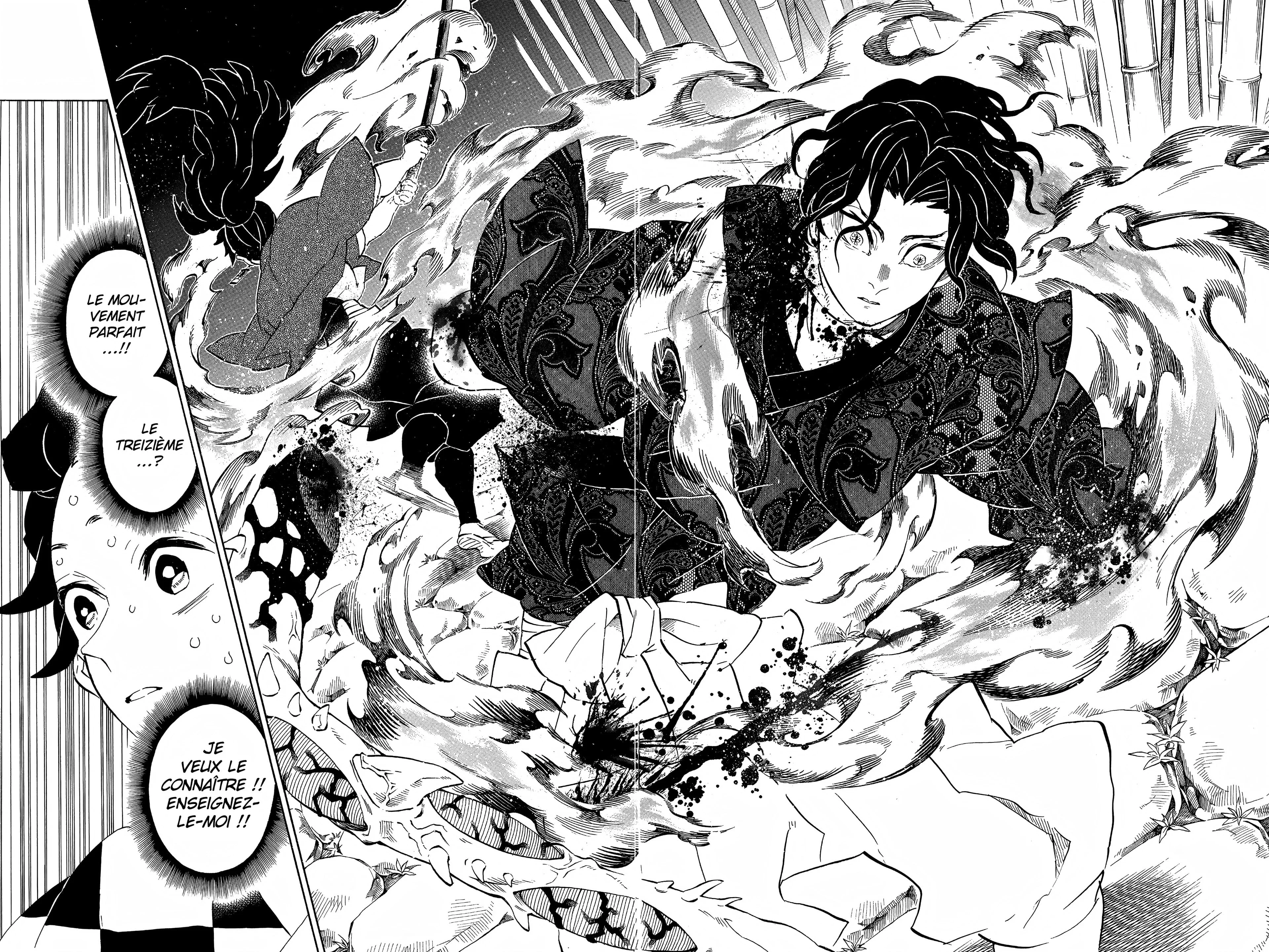 Read Demon Slayer FR Manga Online