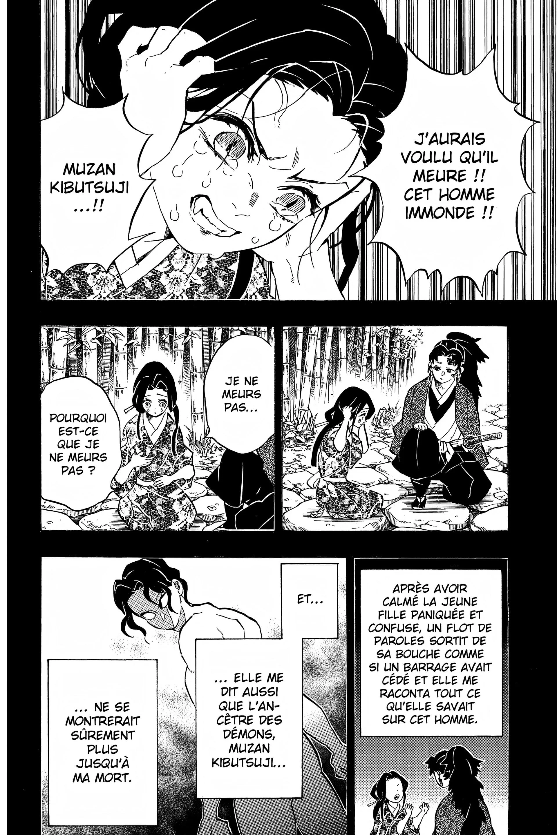 Read Demon Slayer FR Manga Online