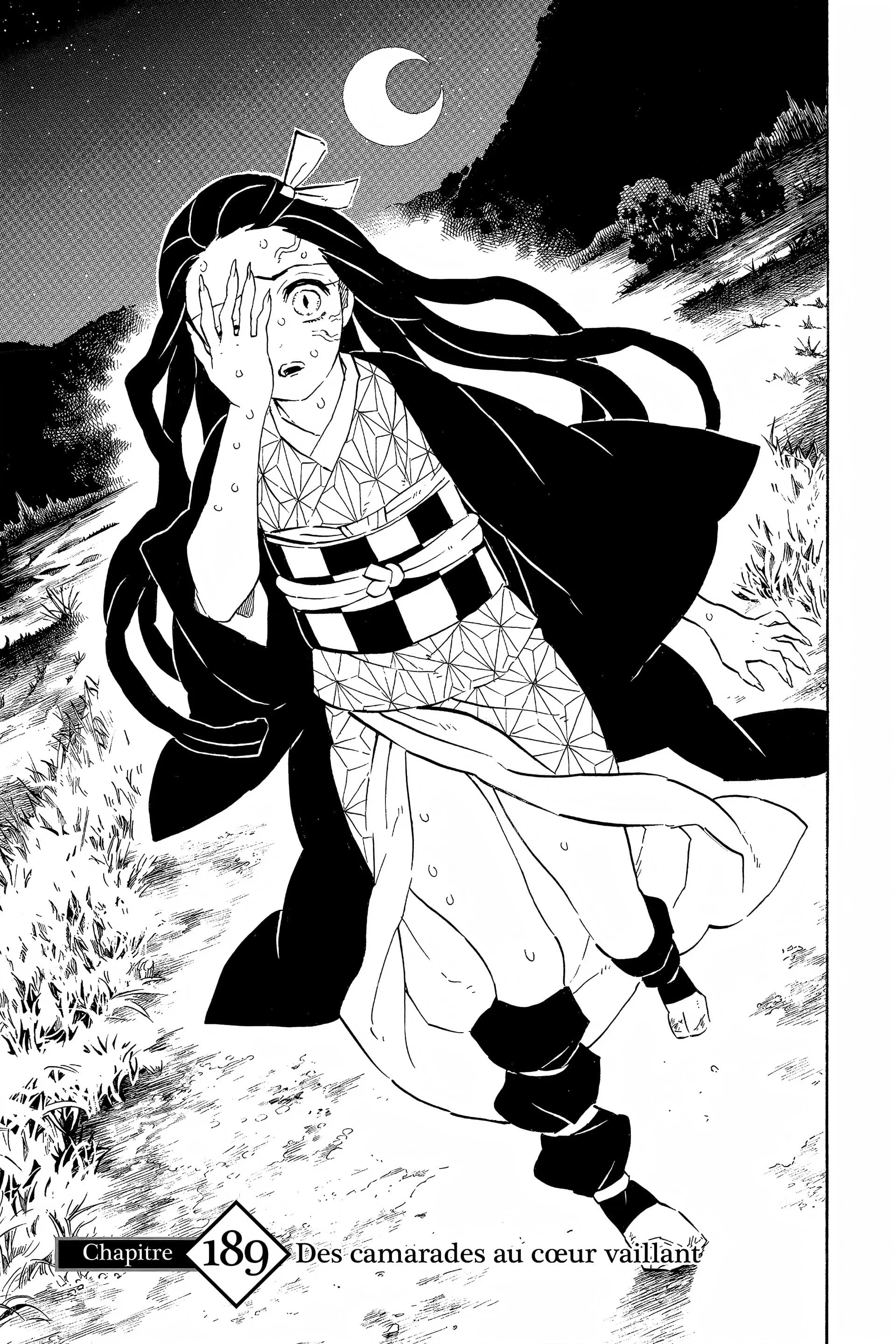 Read Demon Slayer FR Manga Online