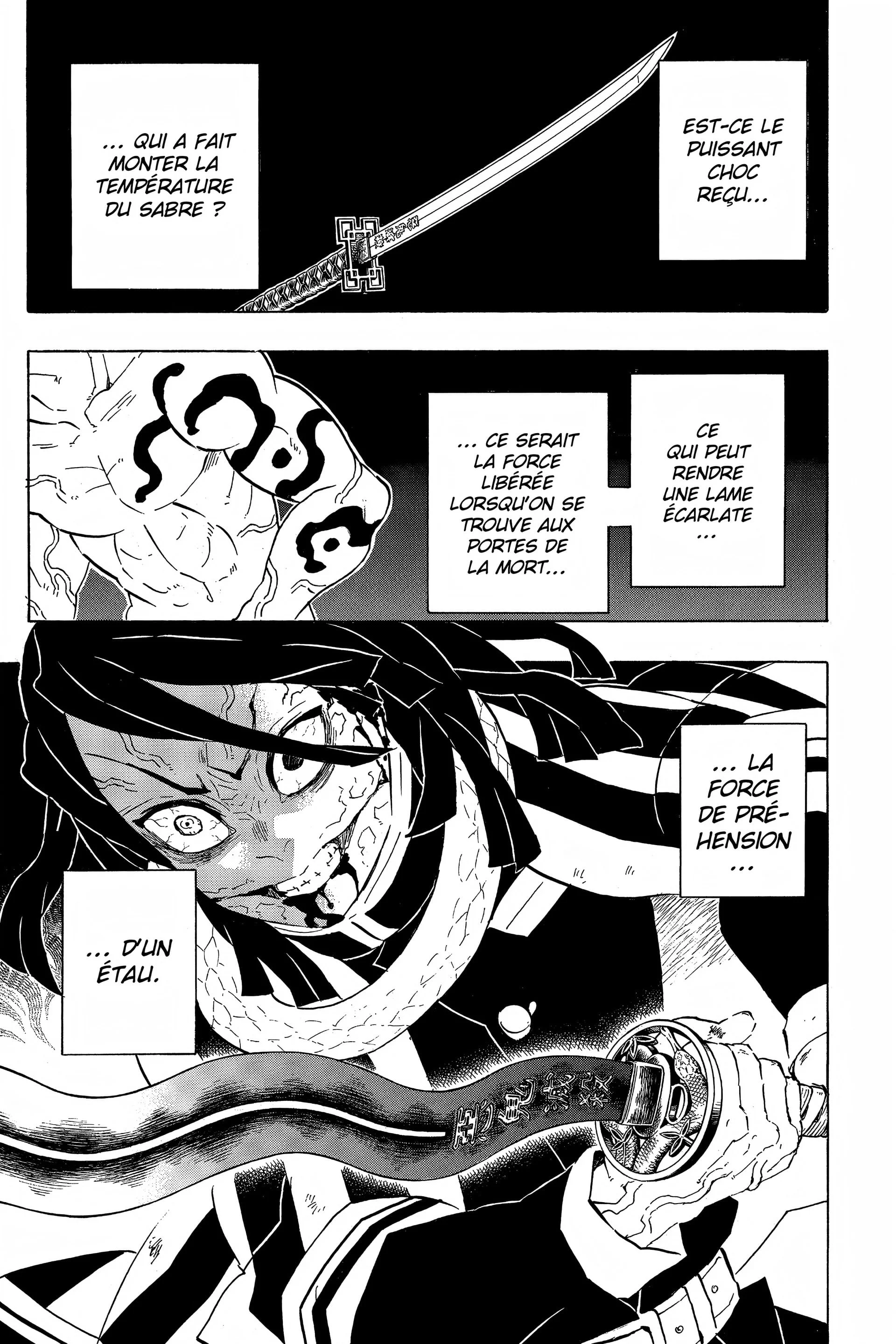 Read Demon Slayer FR Manga Online