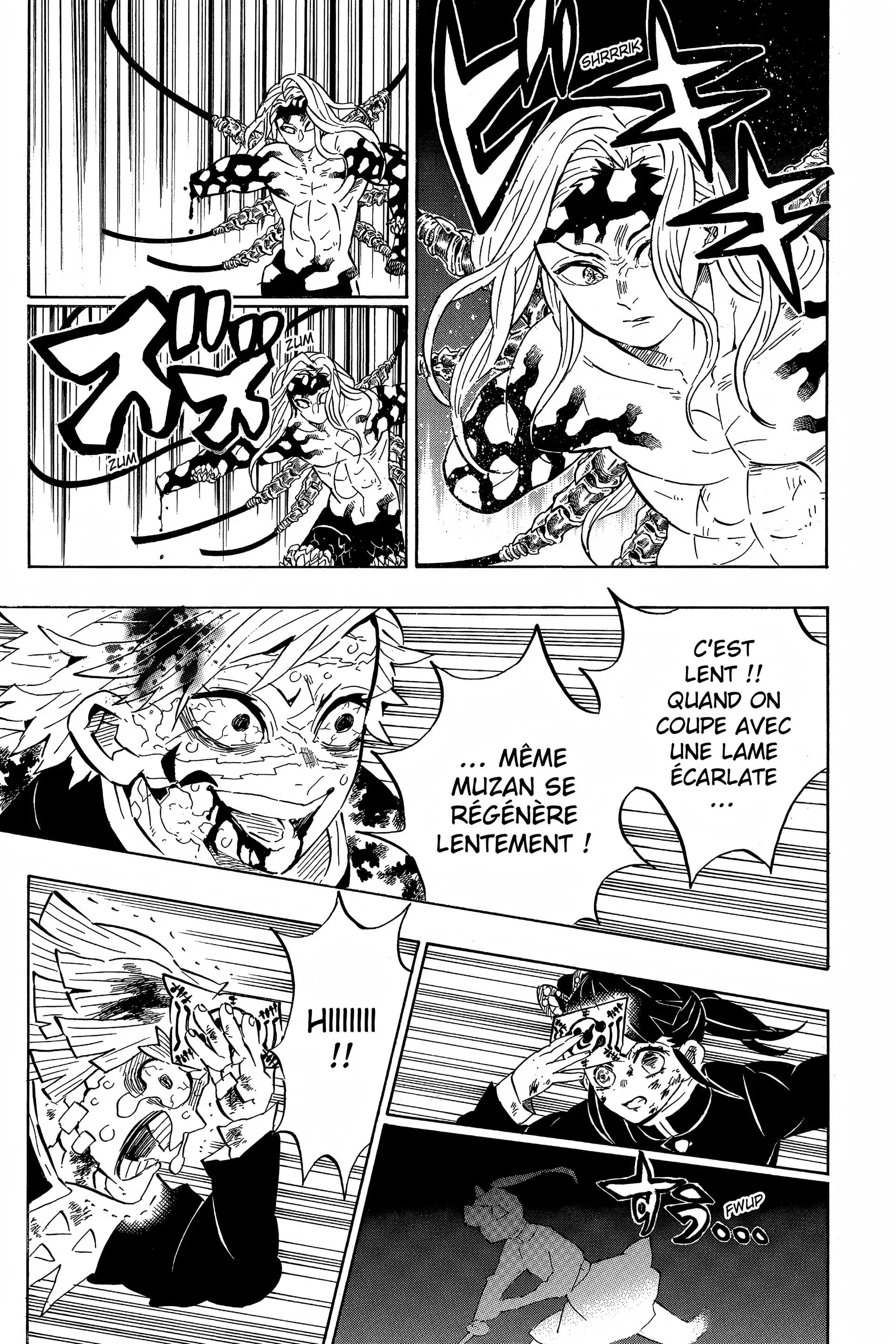 Read Demon Slayer FR Manga Online