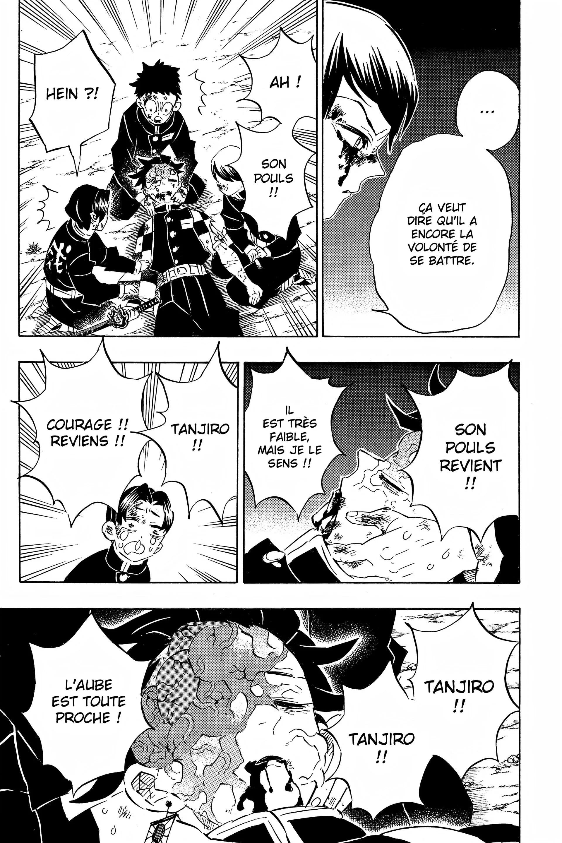 Read Demon Slayer FR Manga Online