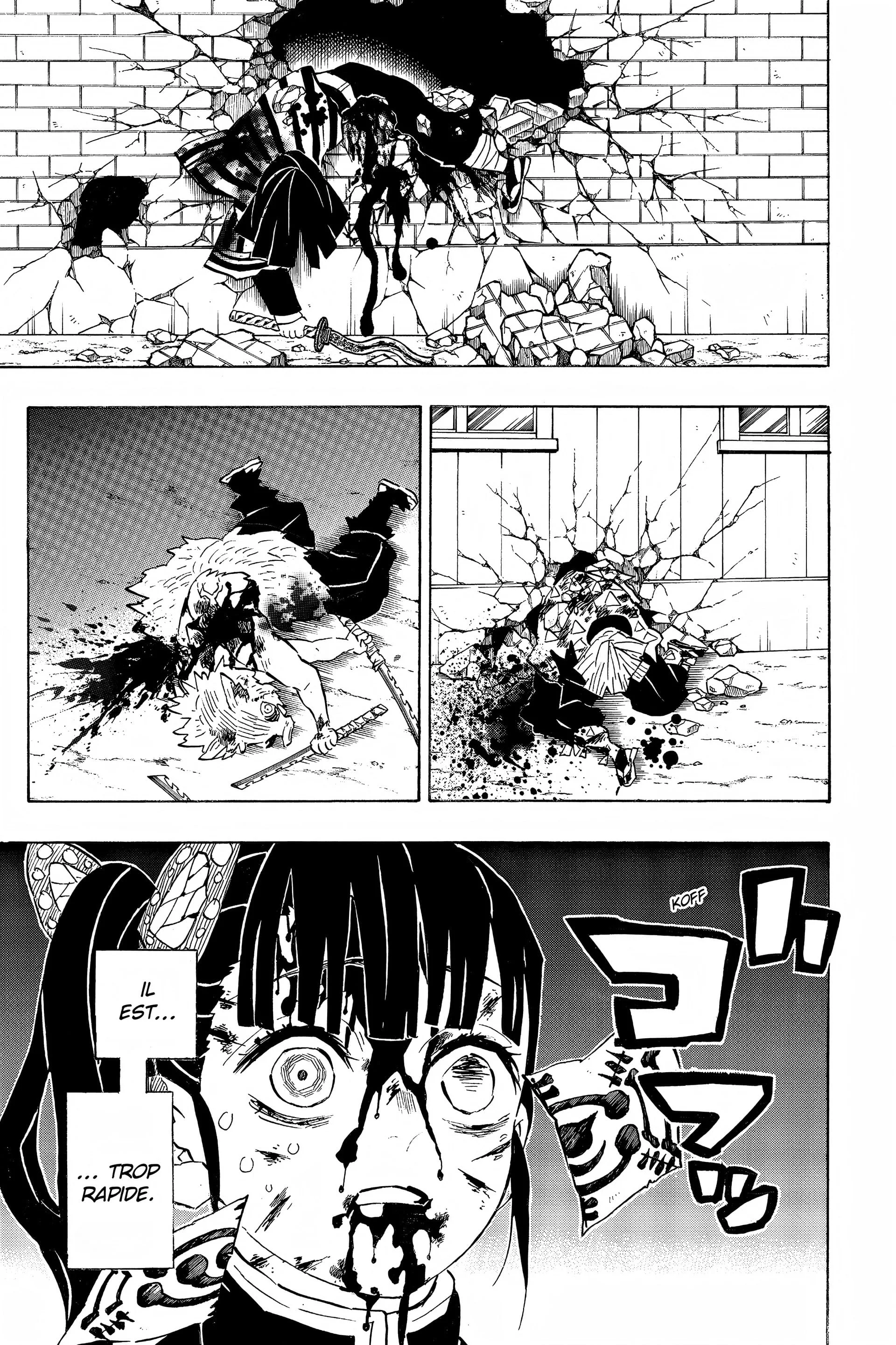 Read Demon Slayer FR Manga Online