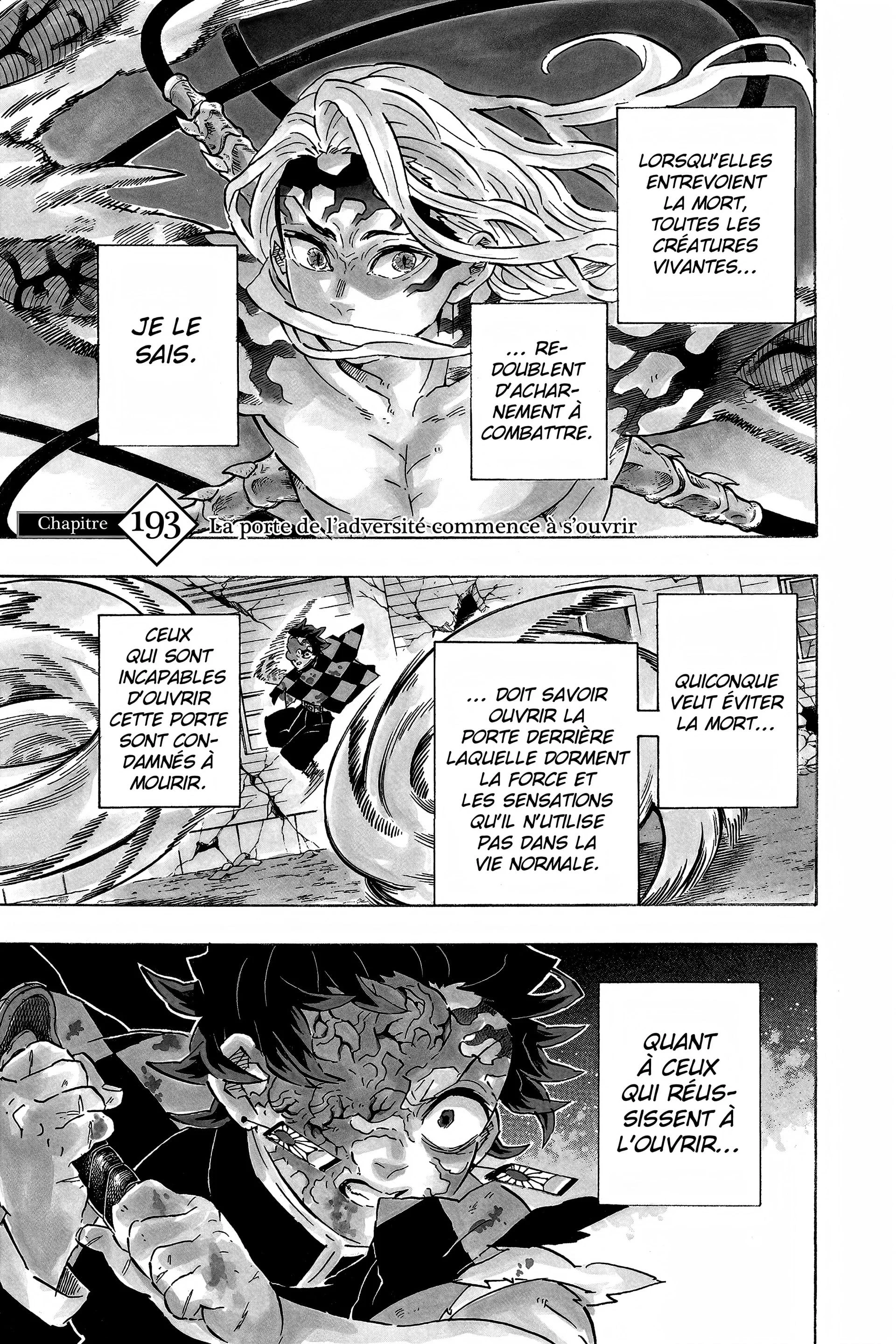 Read Demon Slayer FR Manga Online