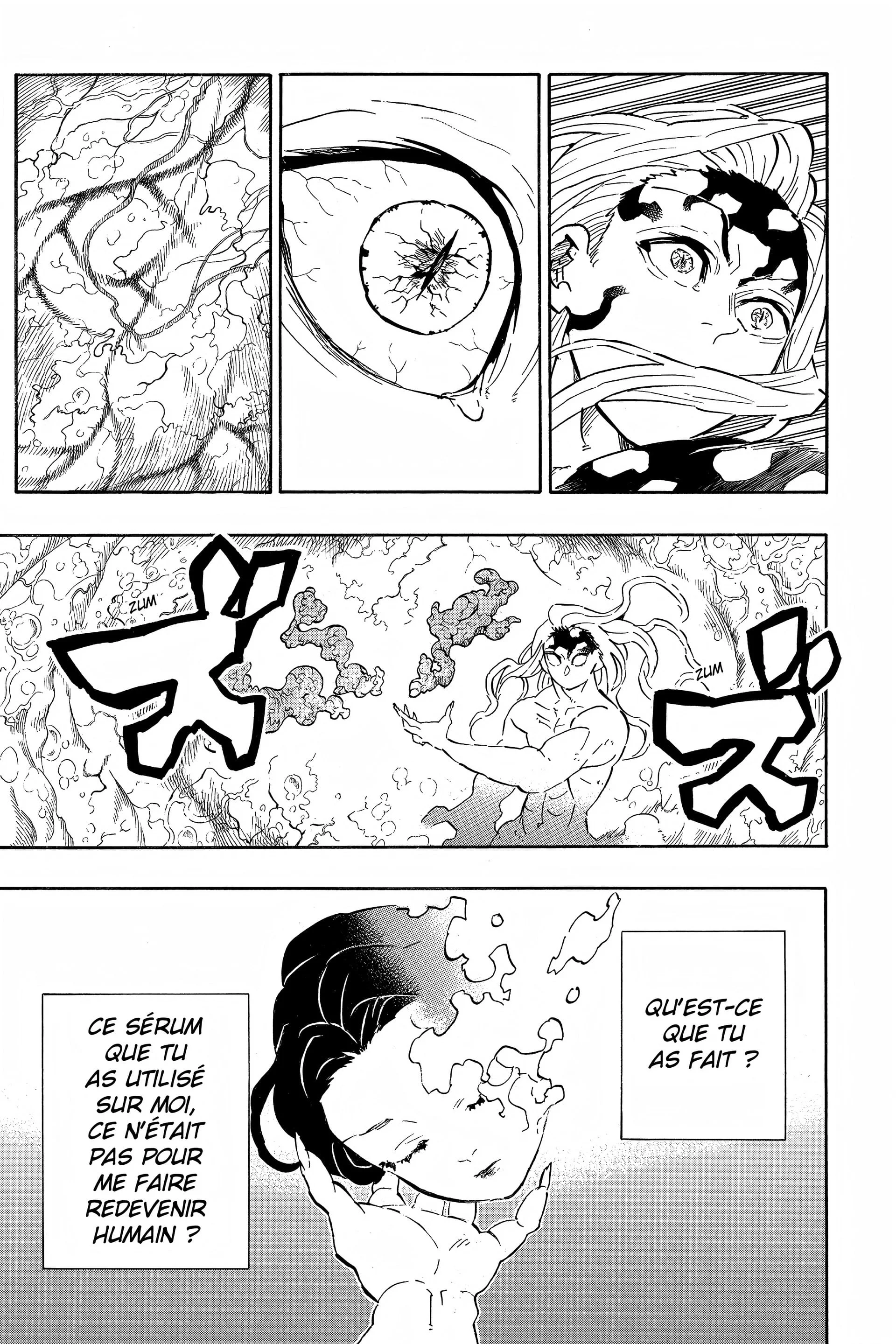 Read Demon Slayer FR Manga Online