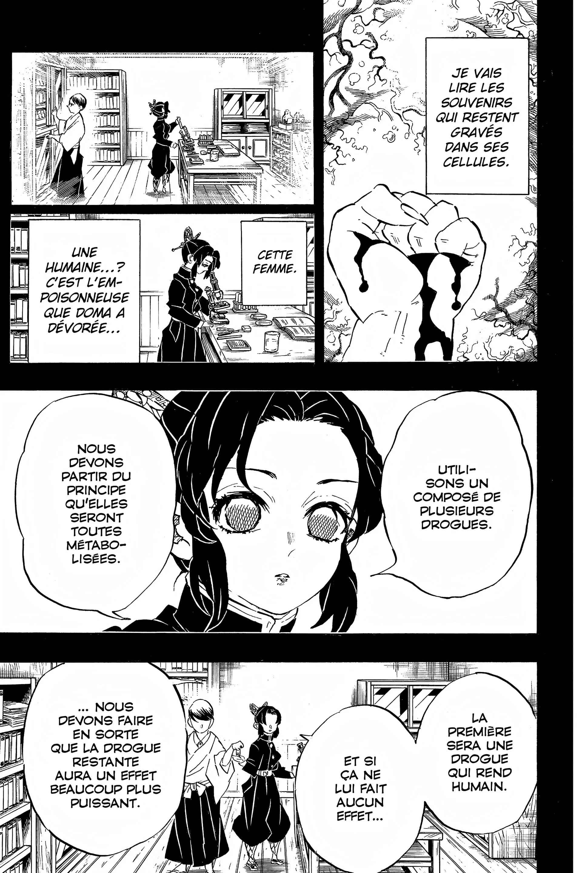 Read Demon Slayer FR Manga Online