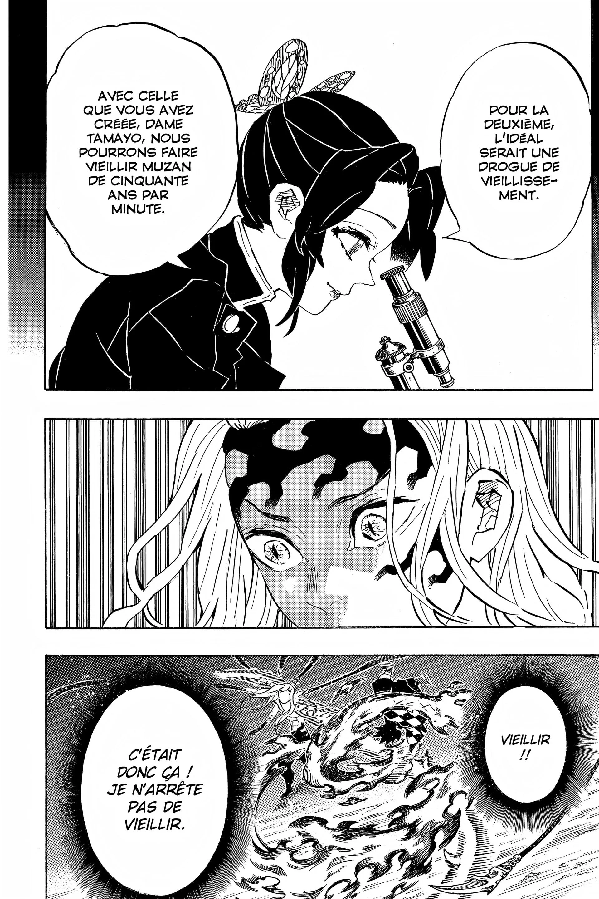 Read Demon Slayer FR Manga Online