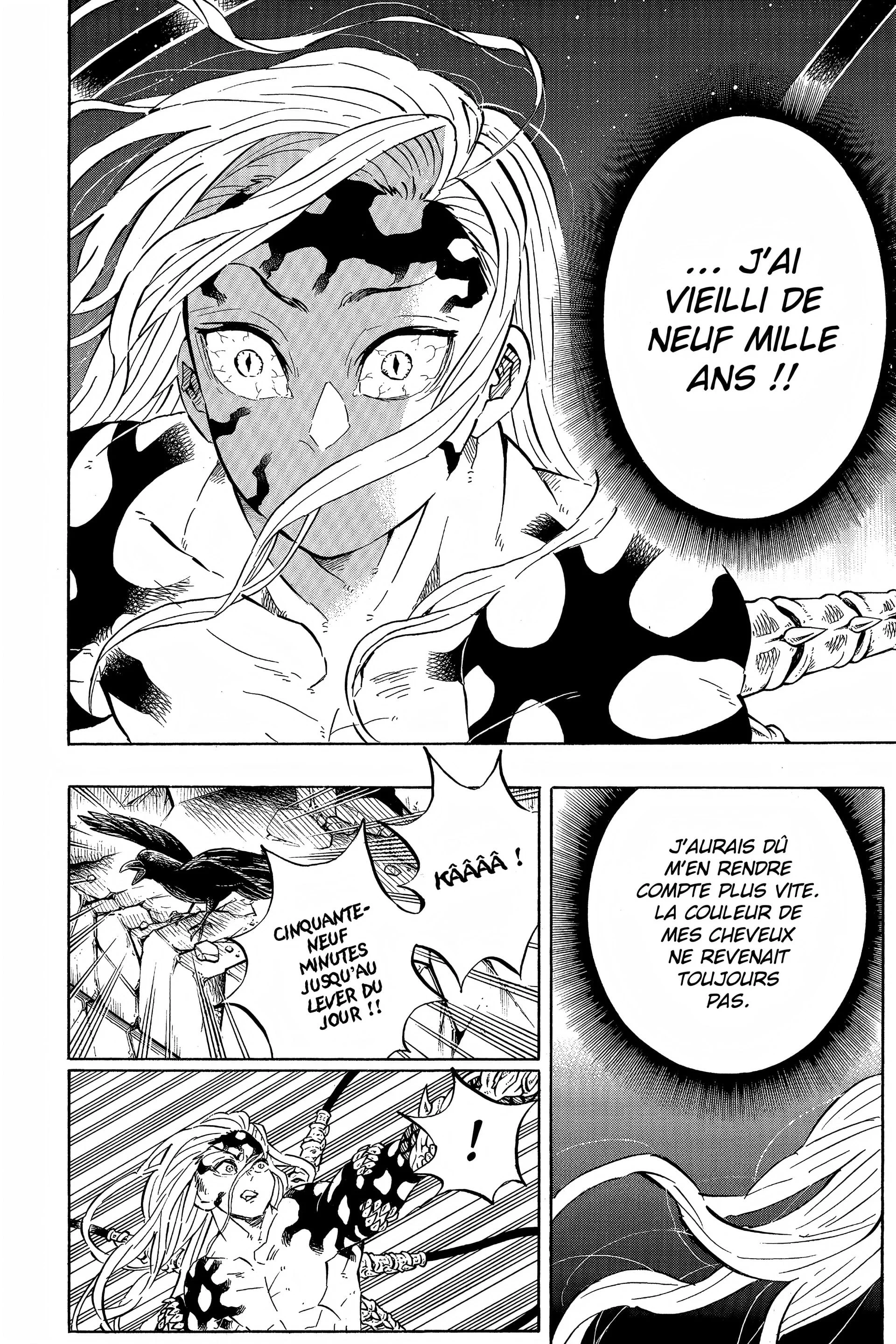 Read Demon Slayer FR Manga Online