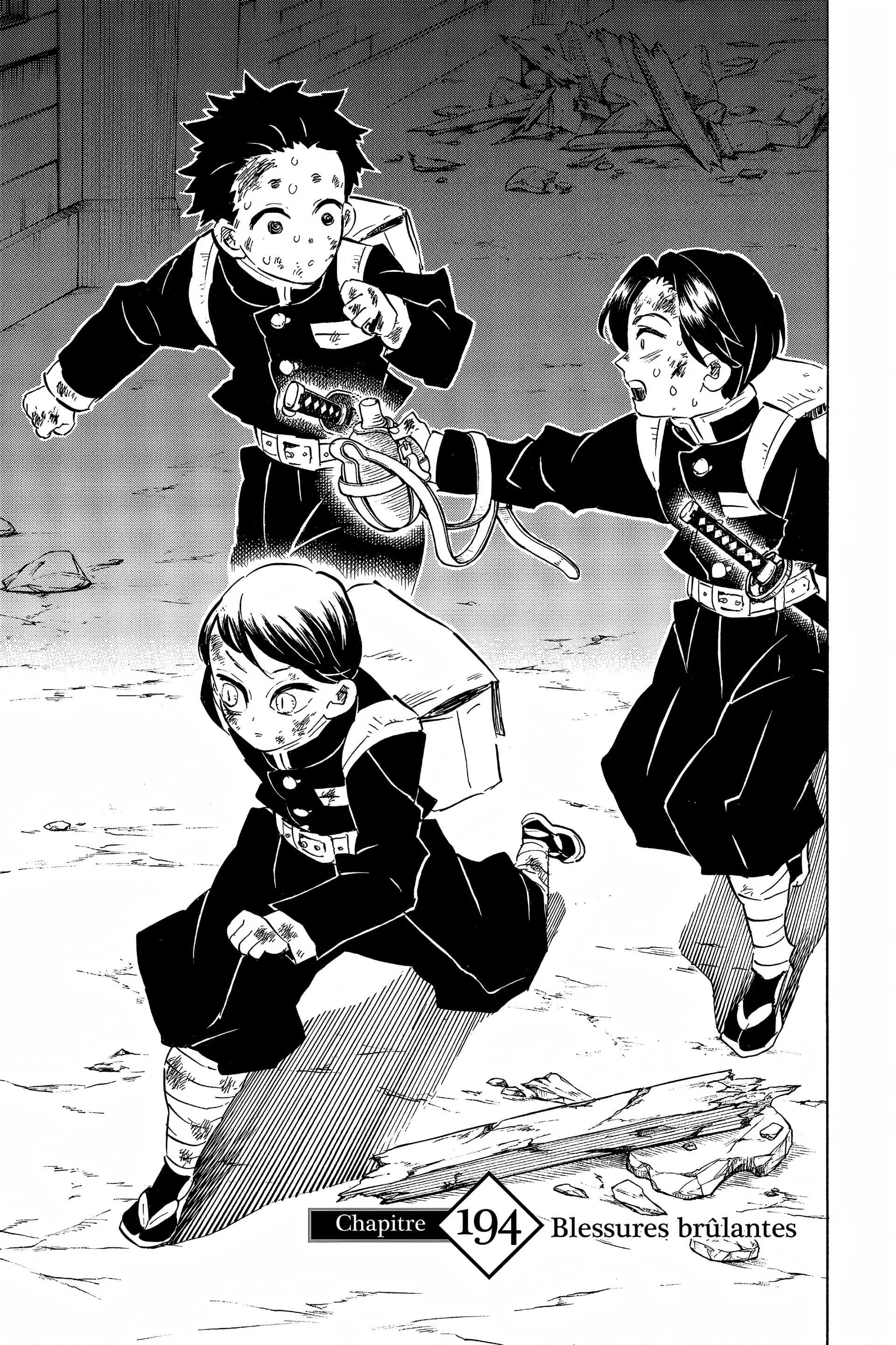 Read Demon Slayer FR Manga Online