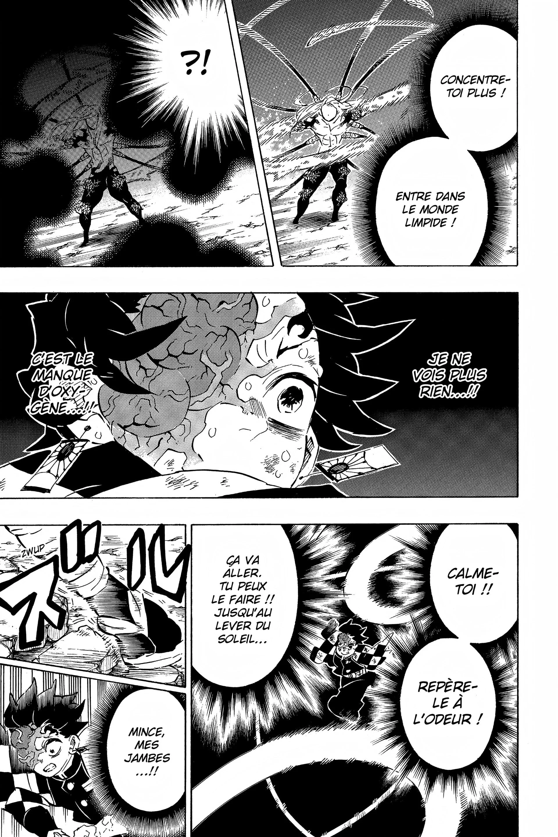 Read Demon Slayer FR Manga Online