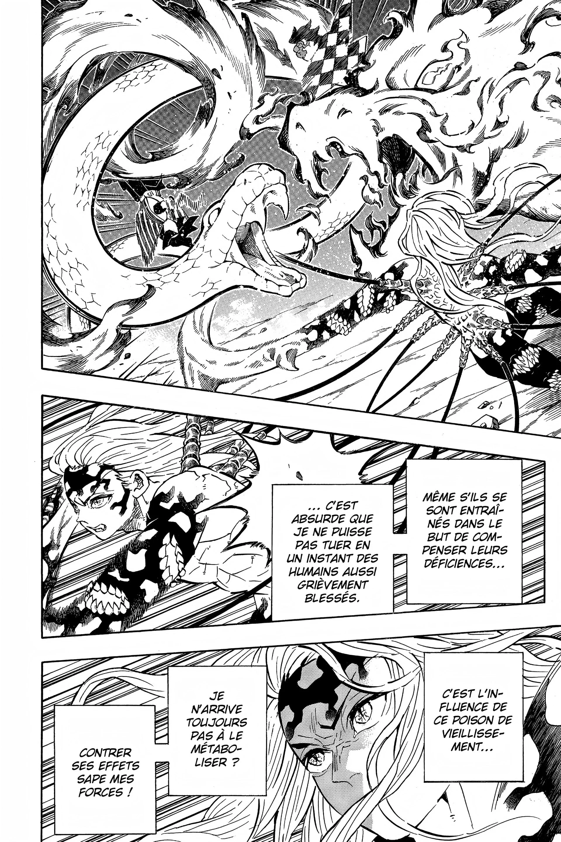 Read Demon Slayer FR Manga Online