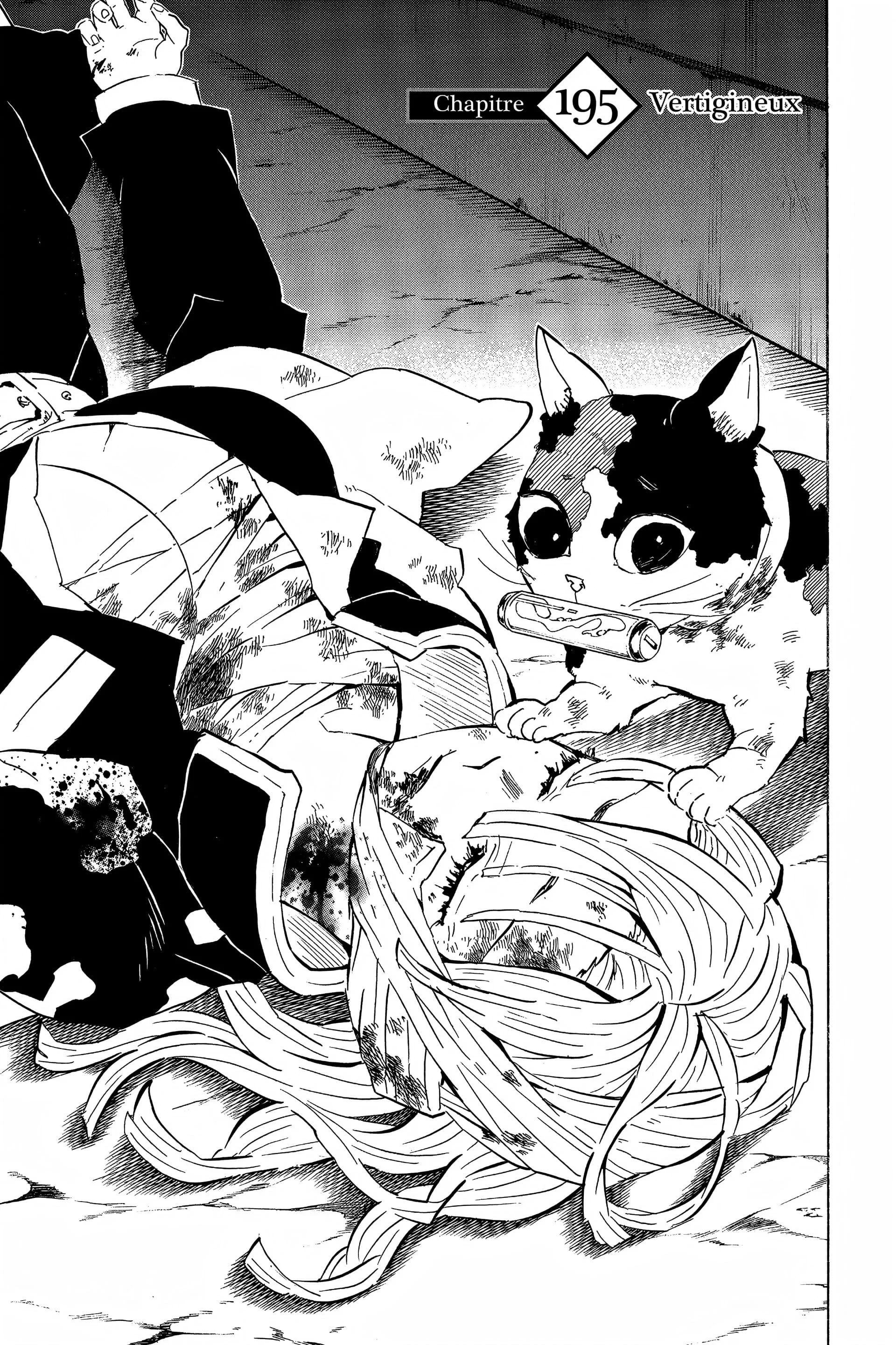 Read Demon Slayer FR Manga Online