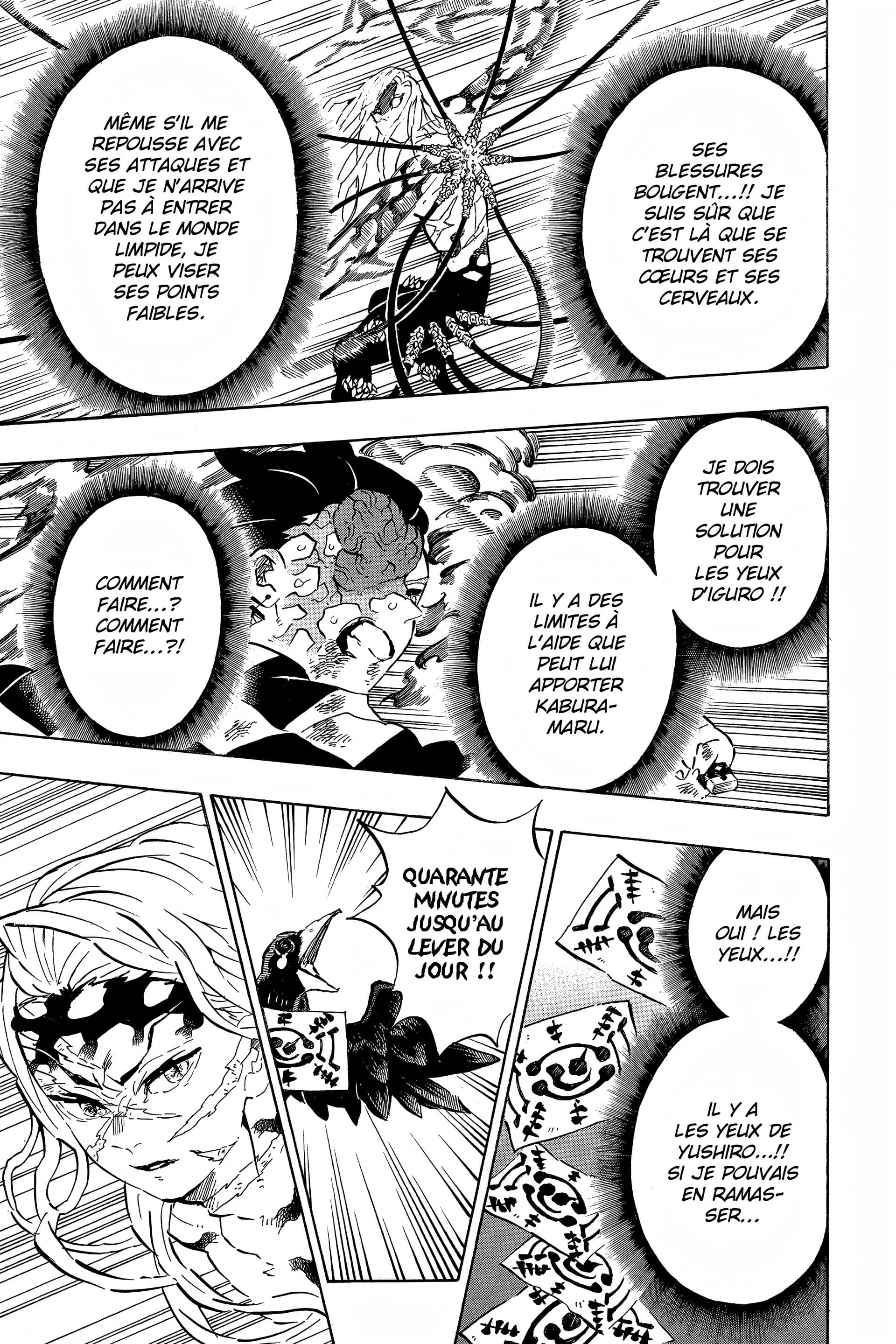 Read Demon Slayer FR Manga Online