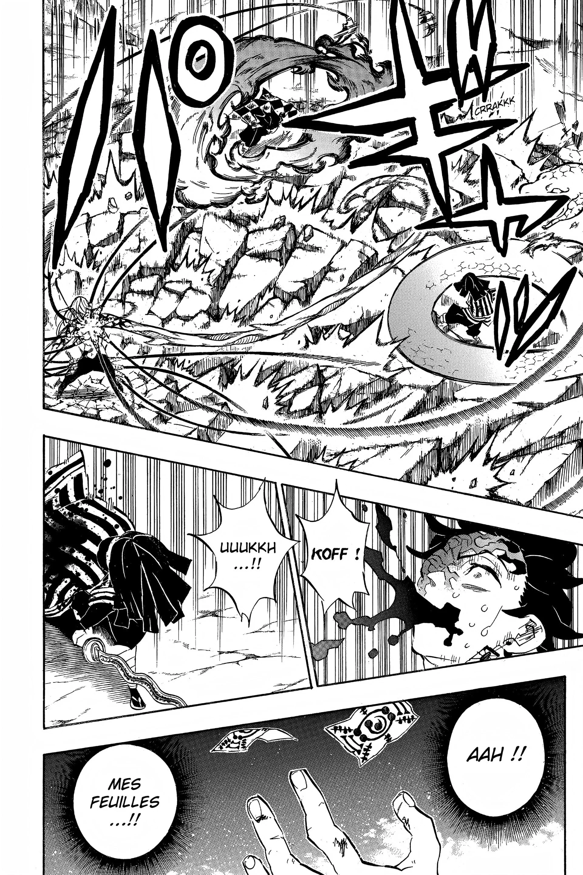 Read Demon Slayer FR Manga Online