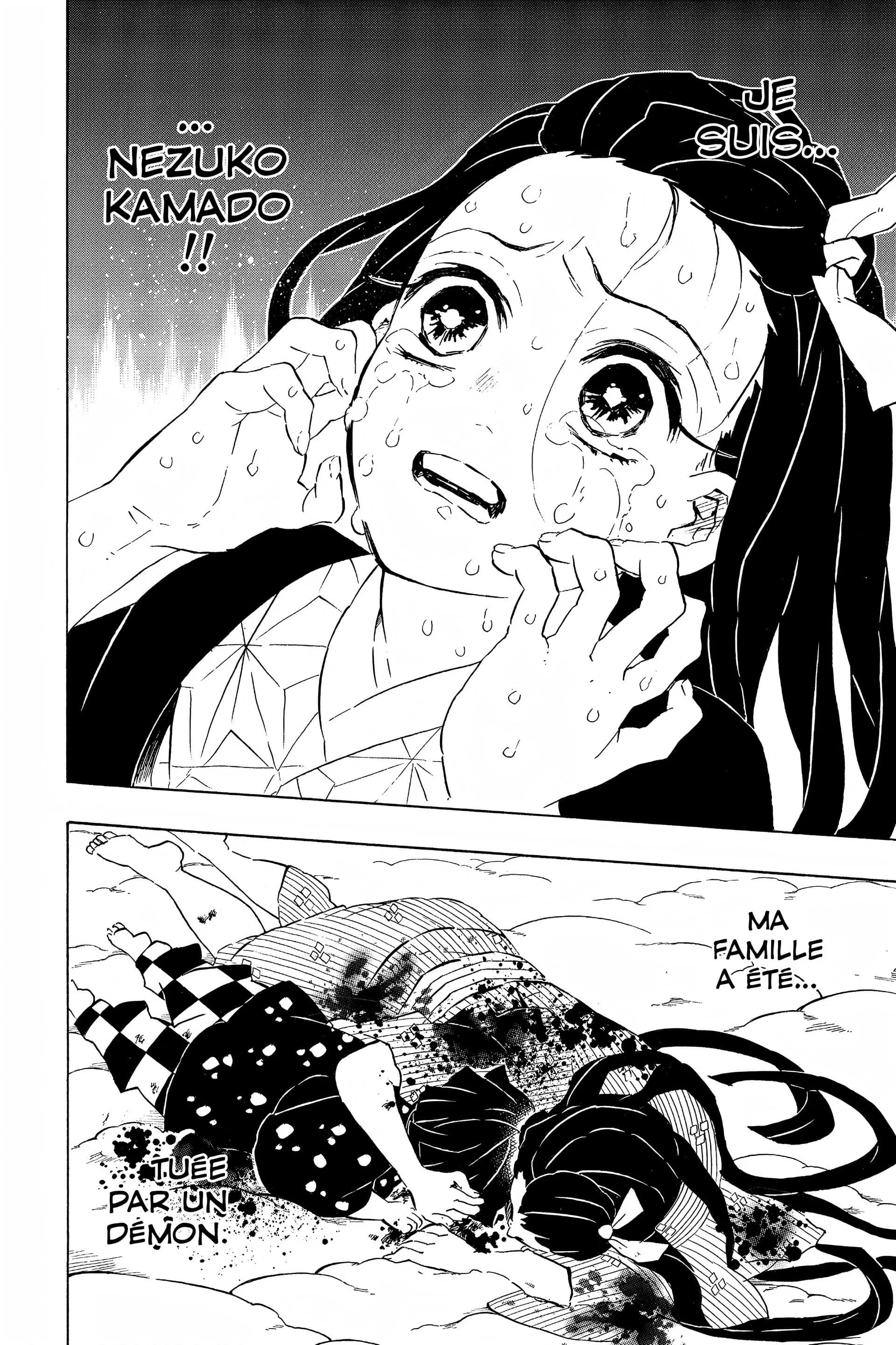 Read Demon Slayer FR Manga Online