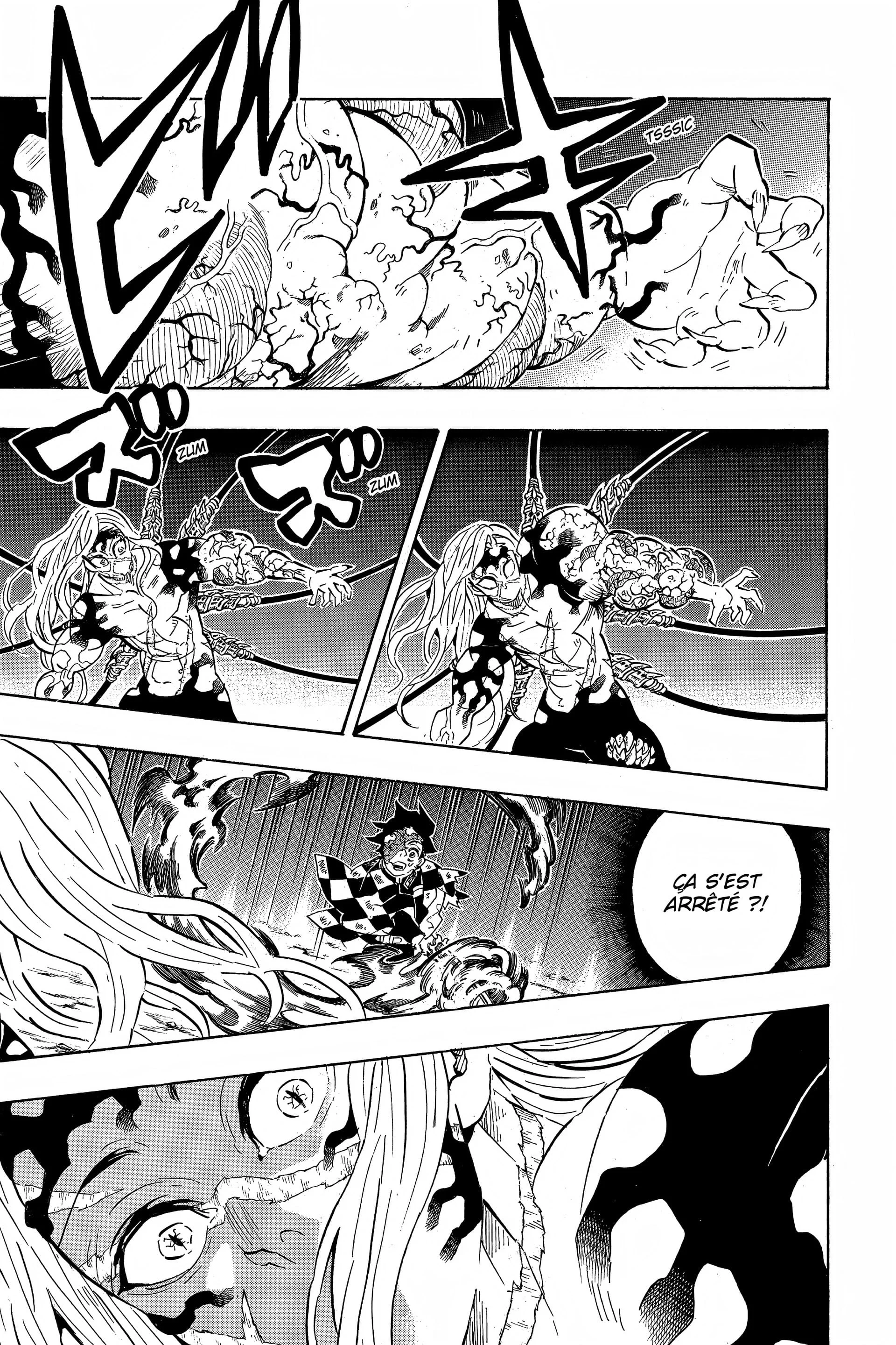 Read Demon Slayer FR Manga Online