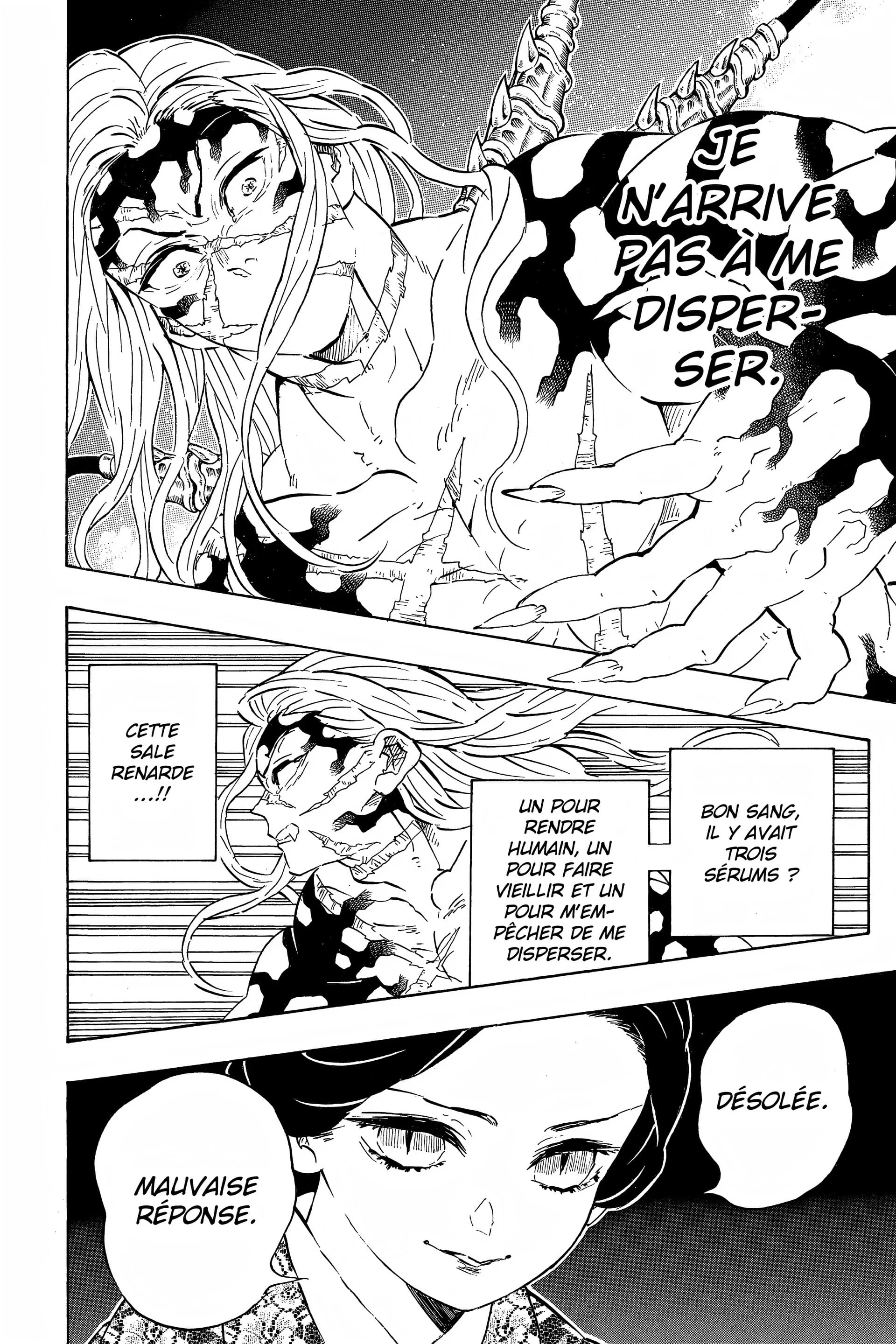 Read Demon Slayer FR Manga Online