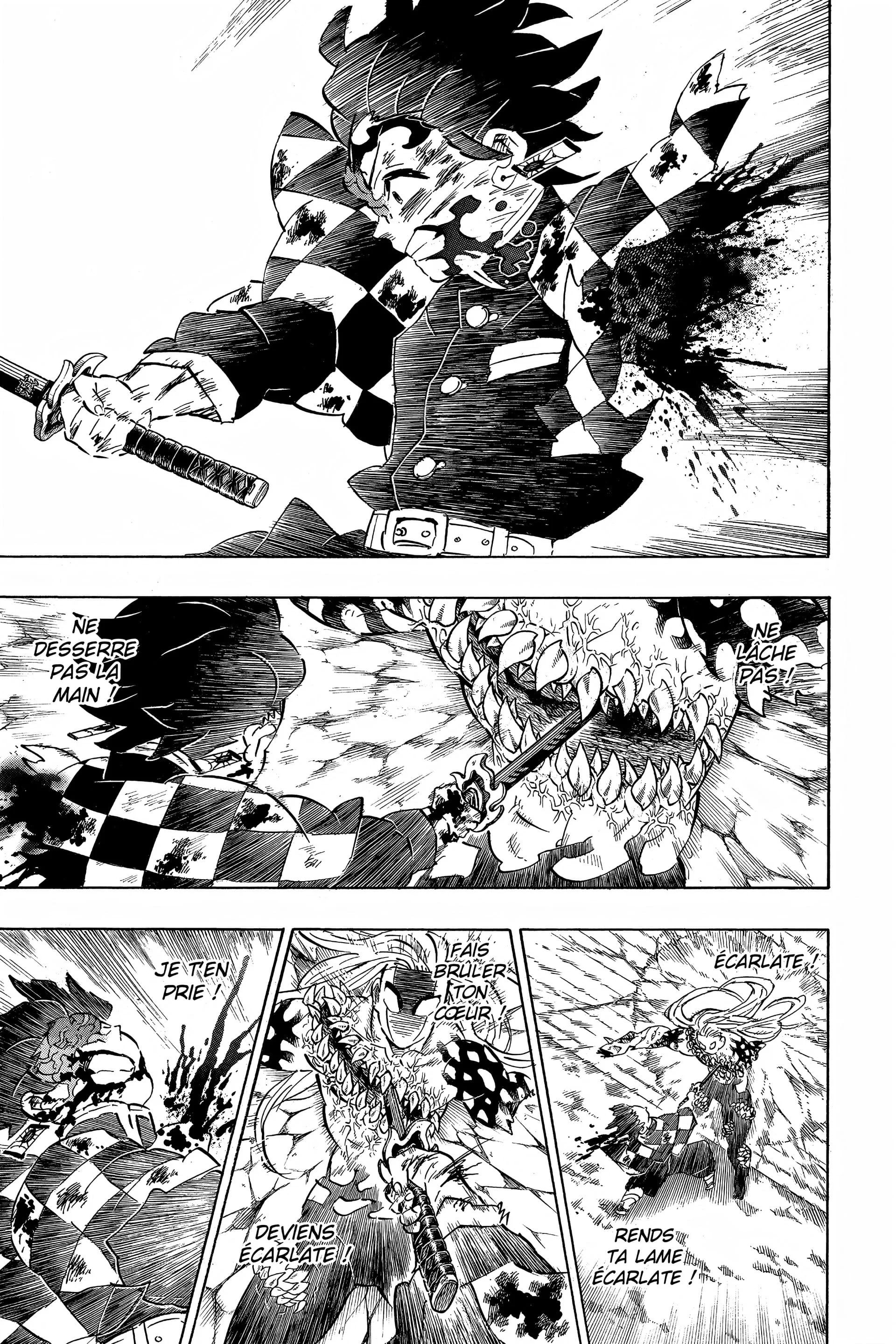 Read Demon Slayer FR Manga Online