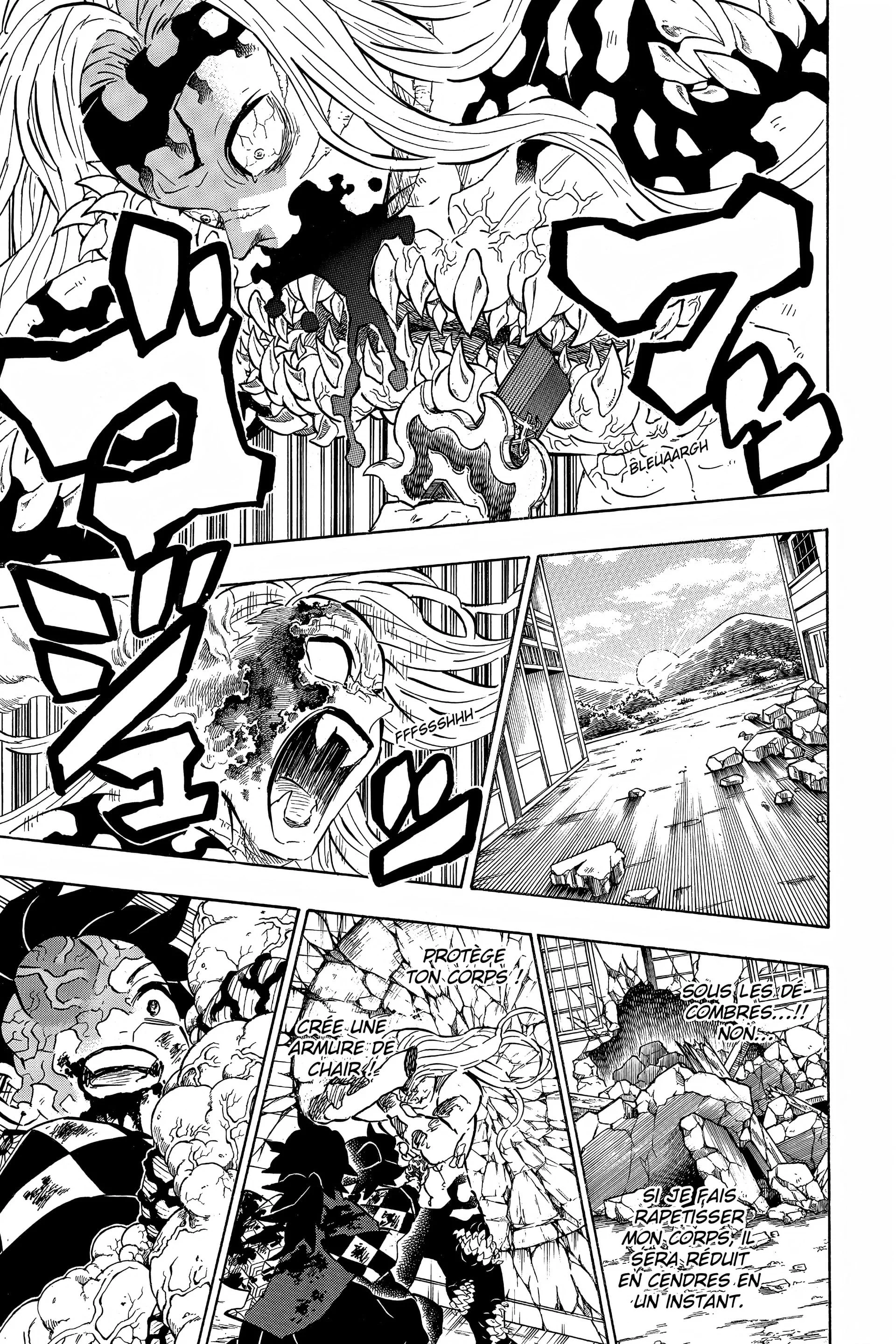 Read Demon Slayer FR Manga Online