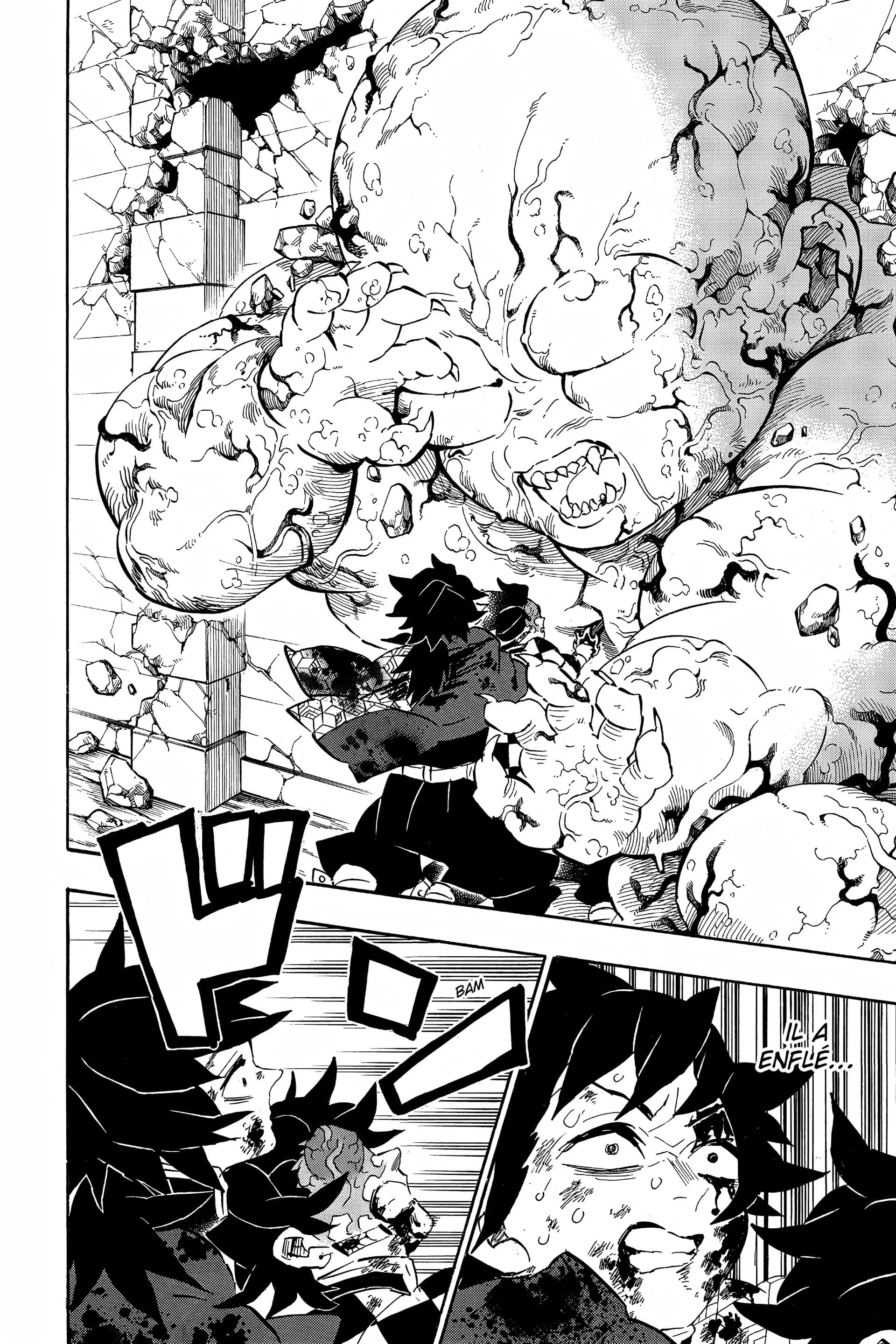 Read Demon Slayer FR Manga Online