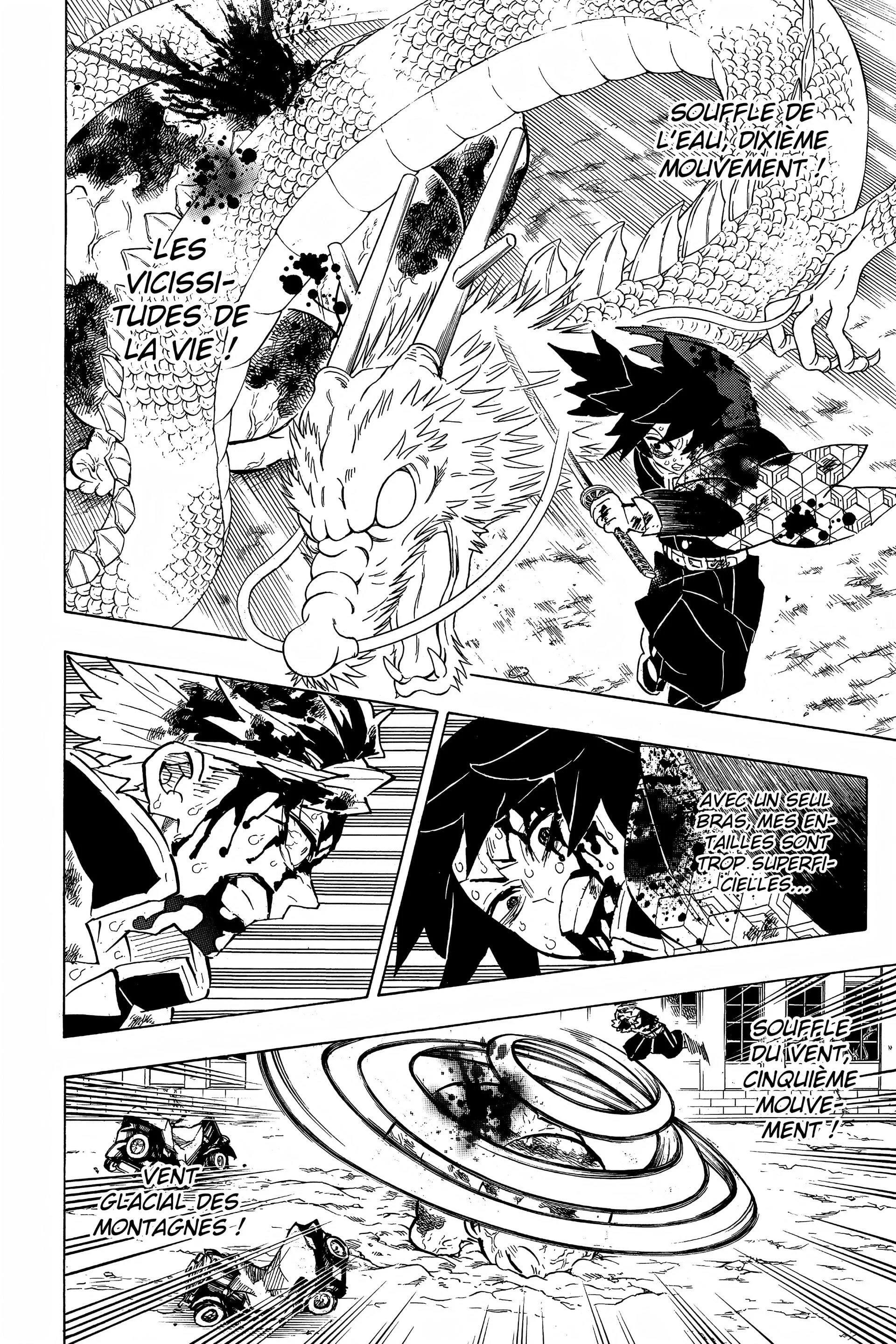 Read Demon Slayer FR Manga Online