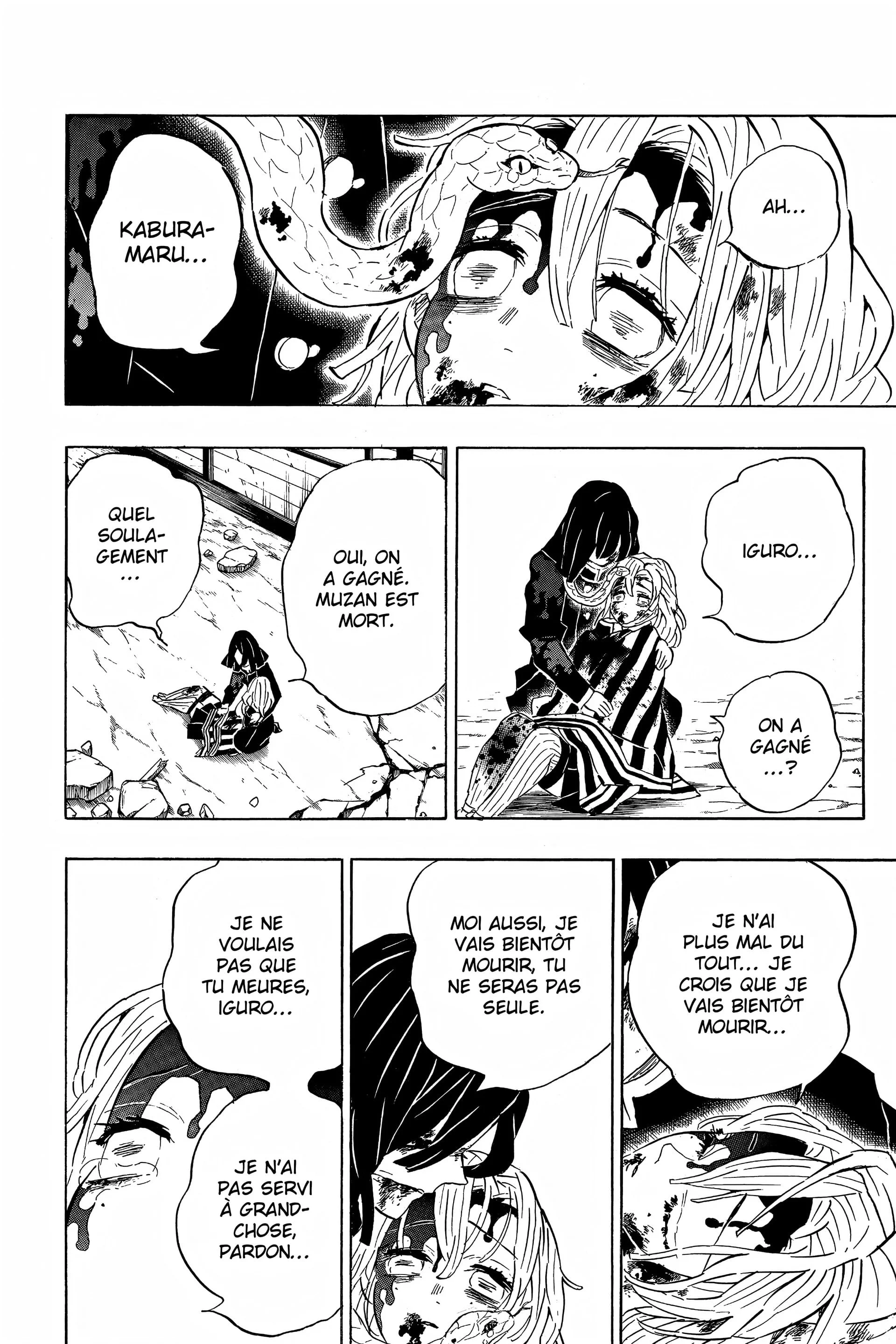 Read Demon Slayer FR Manga Online