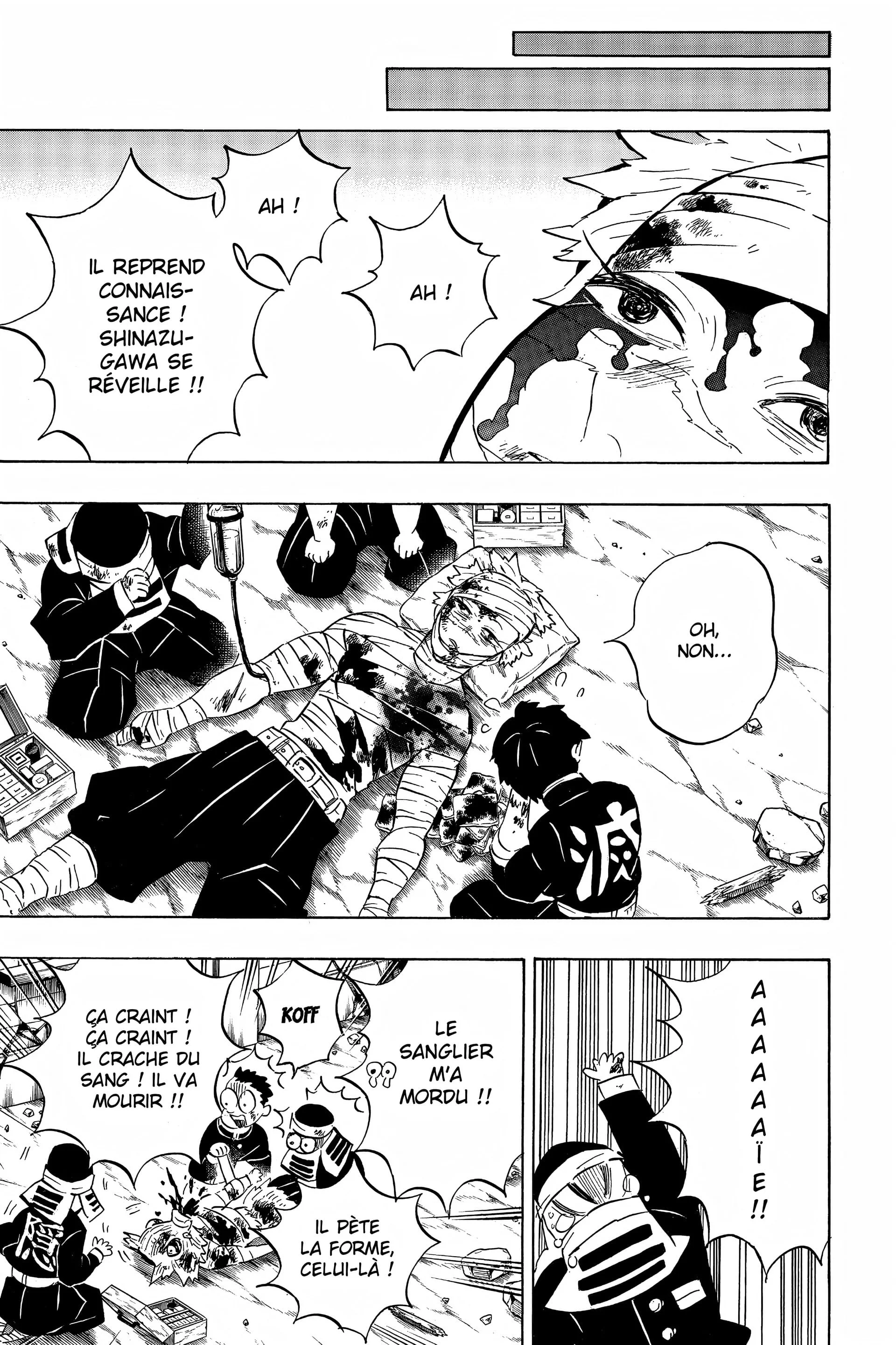 Read Demon Slayer FR Manga Online