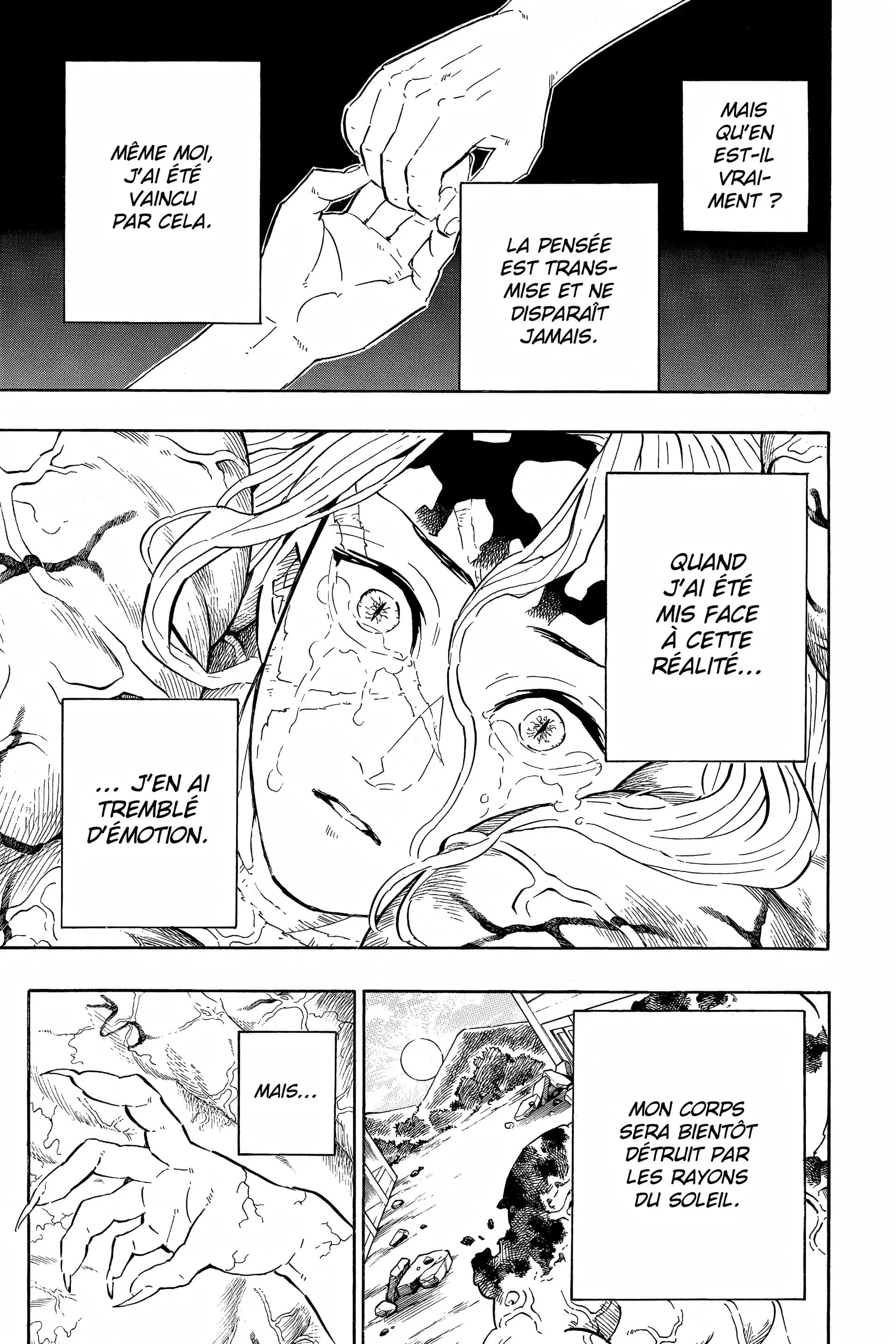 Read Demon Slayer FR Manga Online