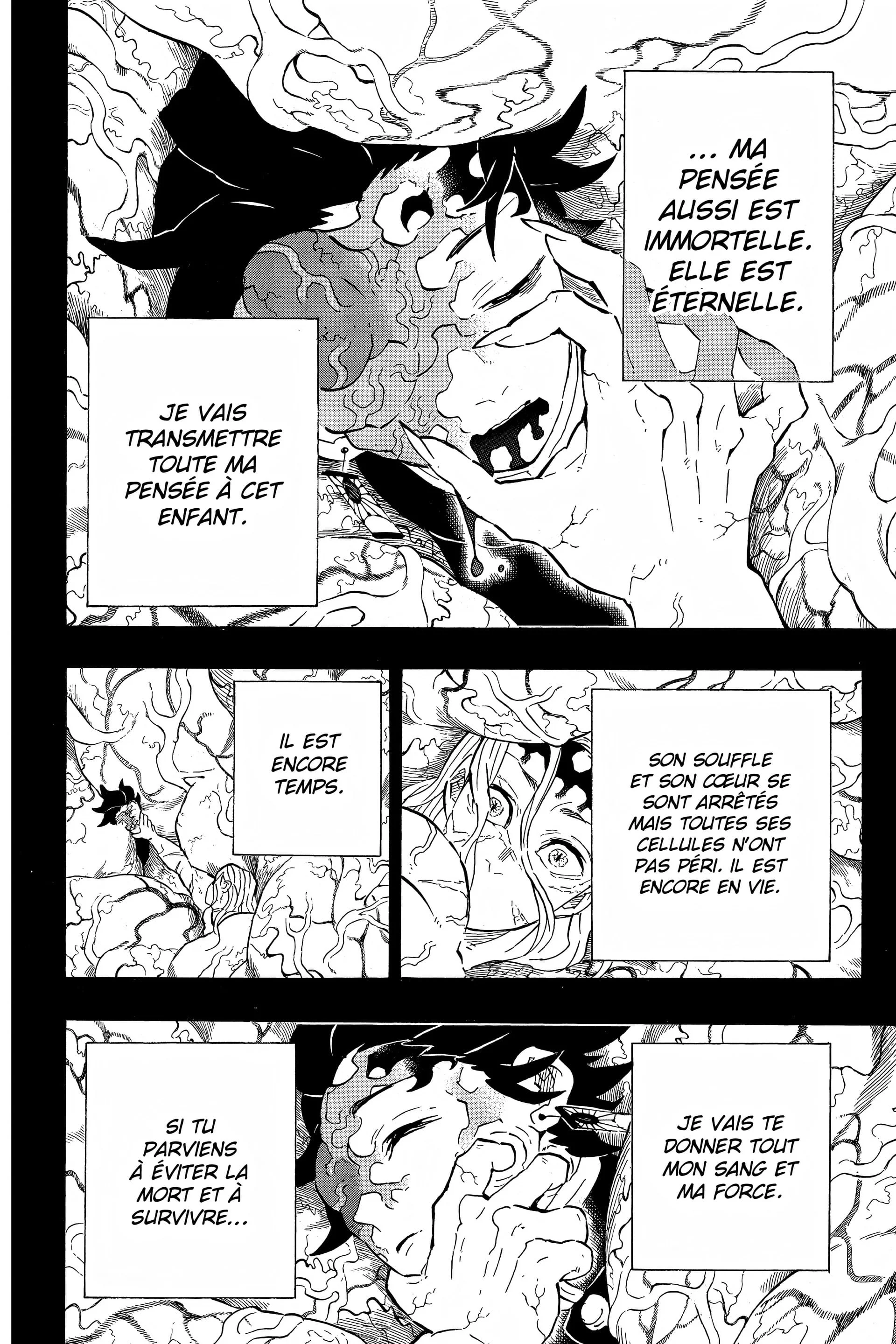 Read Demon Slayer FR Manga Online