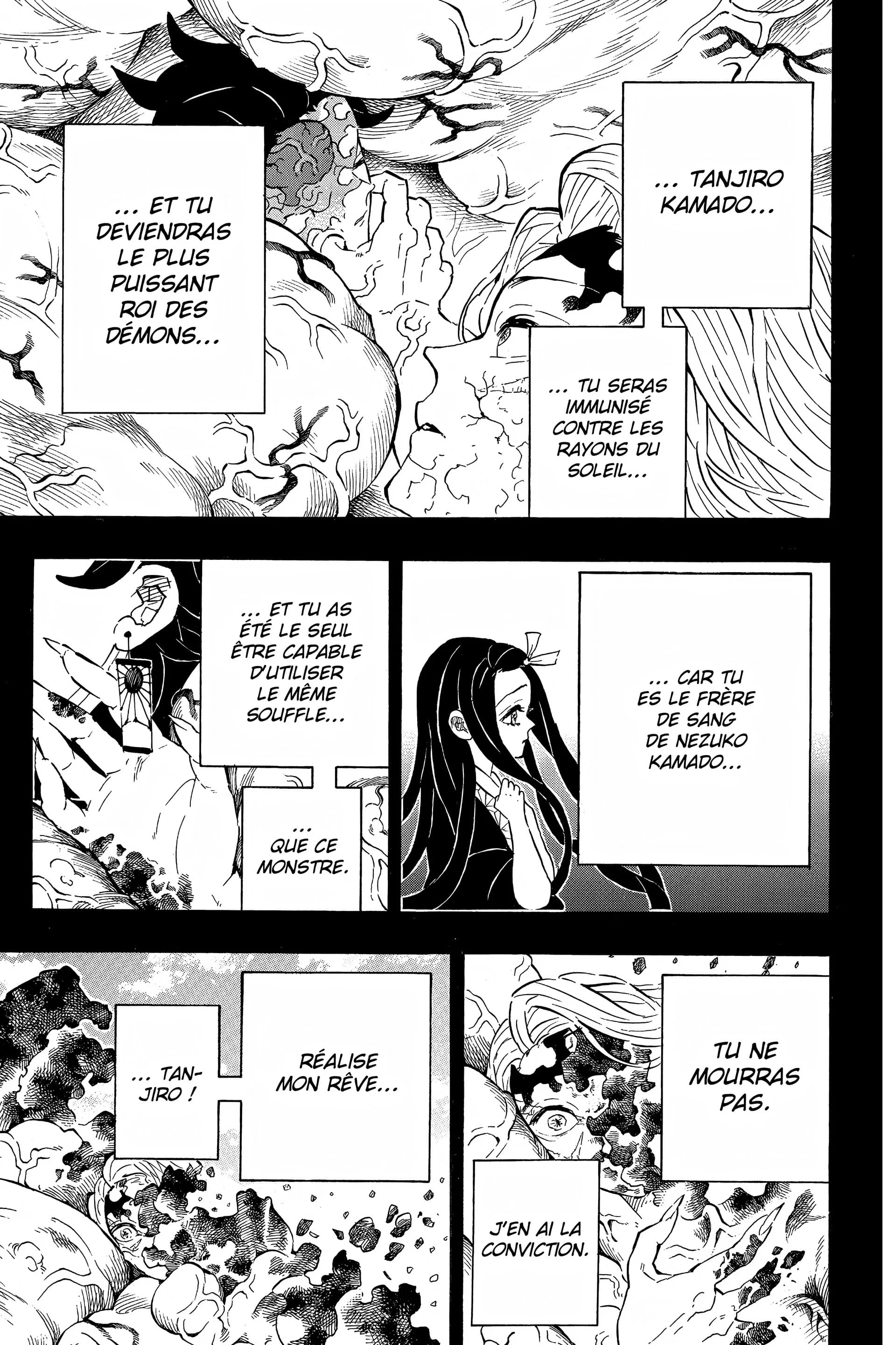 Read Demon Slayer FR Manga Online