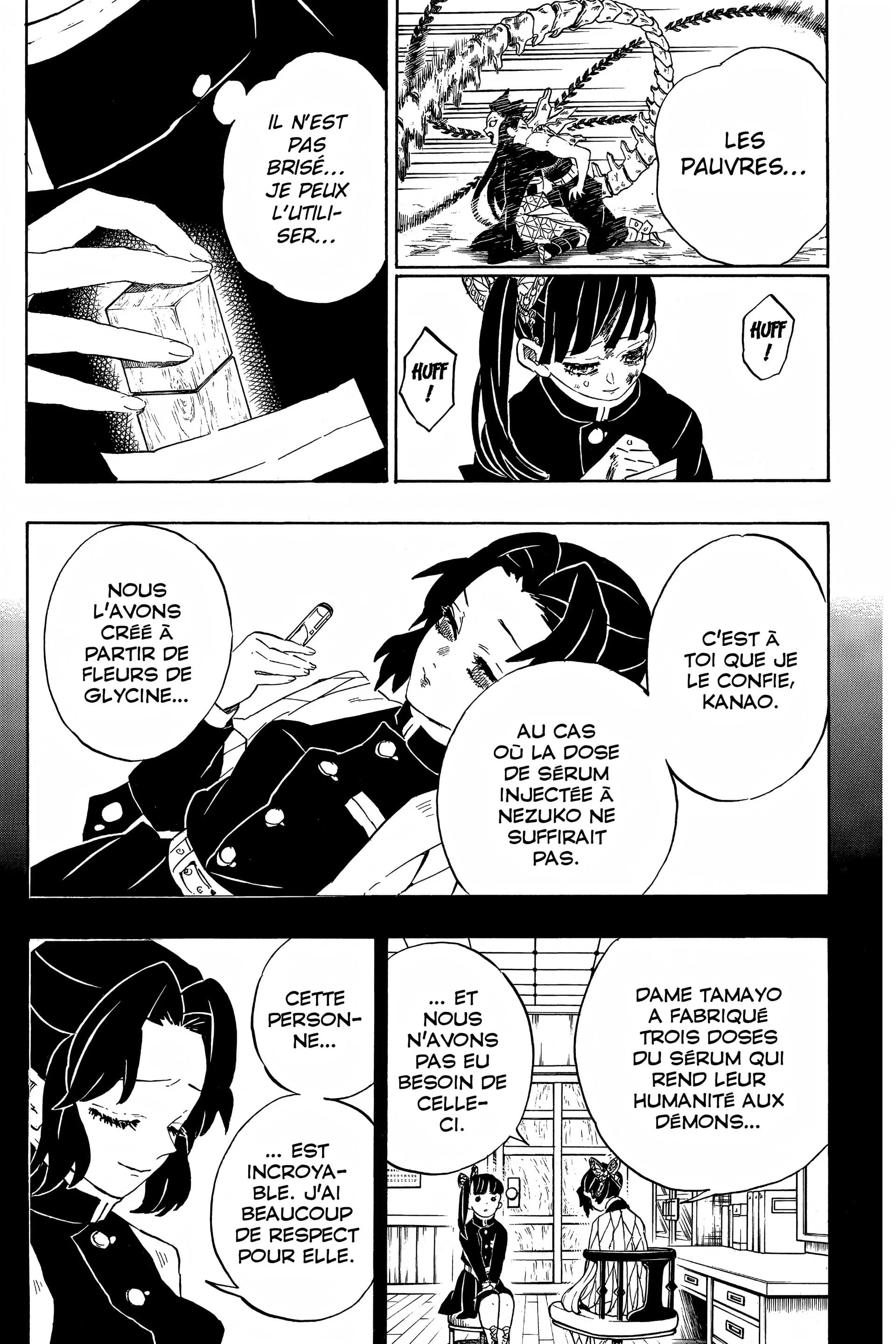 Read Demon Slayer FR Manga Online